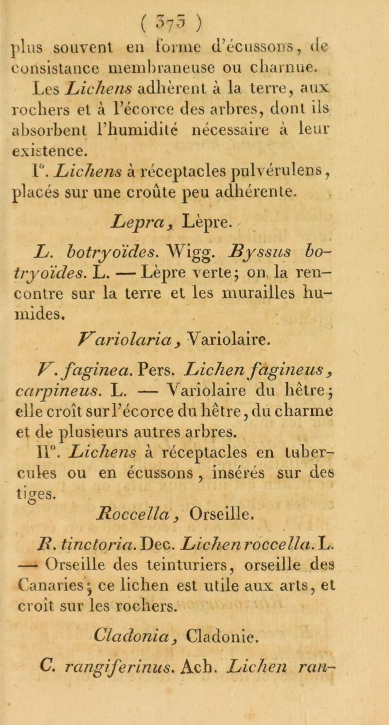 ( 375 > ]>lns souvent en forme (l’écussons, de consistance membraneuse ou charnue. Les Lichens adhèrent à la terre, aux rochers et à l’écorce des arbres, dont ils absorbent l’humidité nécessaire à leur existence. F. Lichens à réceptacles pulvérulens, placés sur une croûte peu adhérente. Leprci, Lèpre. L. botryoïdes. Wigg. Byssus bo- tryoïdes. L. — Lèpre verte; on, la ren- contre sur la terre et les murailles hu- mides. Variolarici y Yariolaire. V.faginea. Pers. Lichen fagineus 9 carpineus. L. — Variolaire du hêtre ; elle croît sur l’écorce du hêtre, du charme et de plusieurs autres arbres. IF. Lichens à réceptacles en tuber- cules ou en écussons, insérés sur des tiges. Roccella y Orseille. P. tinctoria. Dec. Lichen roccella. L. — Orseille des teinturiers, orseille des Canaries; ce lichen est utile aux arts, et croit sur les rochers. Cladoniciy Cladonie. C. rangiferinus. Ach. Lichen ran-