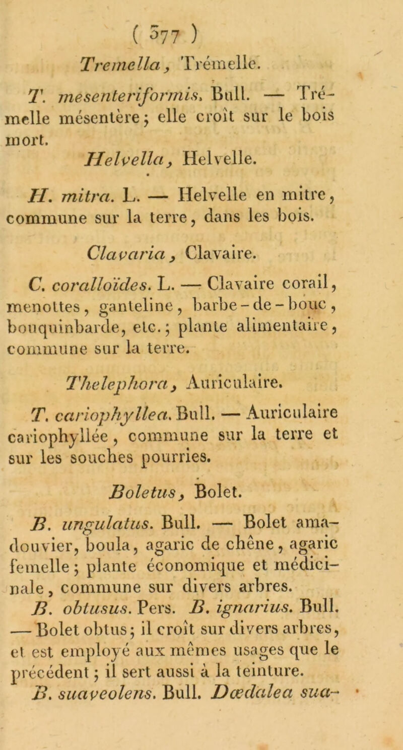 Tremella, Trémelle. T T. mésenteriformis. Bull. — Tré- melle mésentère; elle croît sur le bois mort. Ilelvella} Helvelle. TI. mitra. L. — Helvelle en mitre, commune sur la terre, dans les bois. Clctvctria , Clavaire. C. corcilloïdes. L. — Clavaire corail, menottes , ganteline , barbe - de - bouc , bouquinbarde, etc.; plante alimentaire, commune sur la terre. Thelephora y Auriculaire. T. cariophyllea. Bull. — Auriculaire cariophyllée, commune sur la terre et sur les souches pourries. Boletusy Bolet. B. ungulatus. Bull. — Bolet ama- dou vier, boula, agaric de chêne, agaric femelle ; plante économique et médici- nale , commune sur divers arbres. B. obtusus. Pers. B. ignarius. Bull. .— Bolet obtus; il croît sur divers arbres, et est employé aux mêmes usages que le précédent ; il sert aussi à la teinture. B. suaveolens. Bull. Dœclcdea sua-