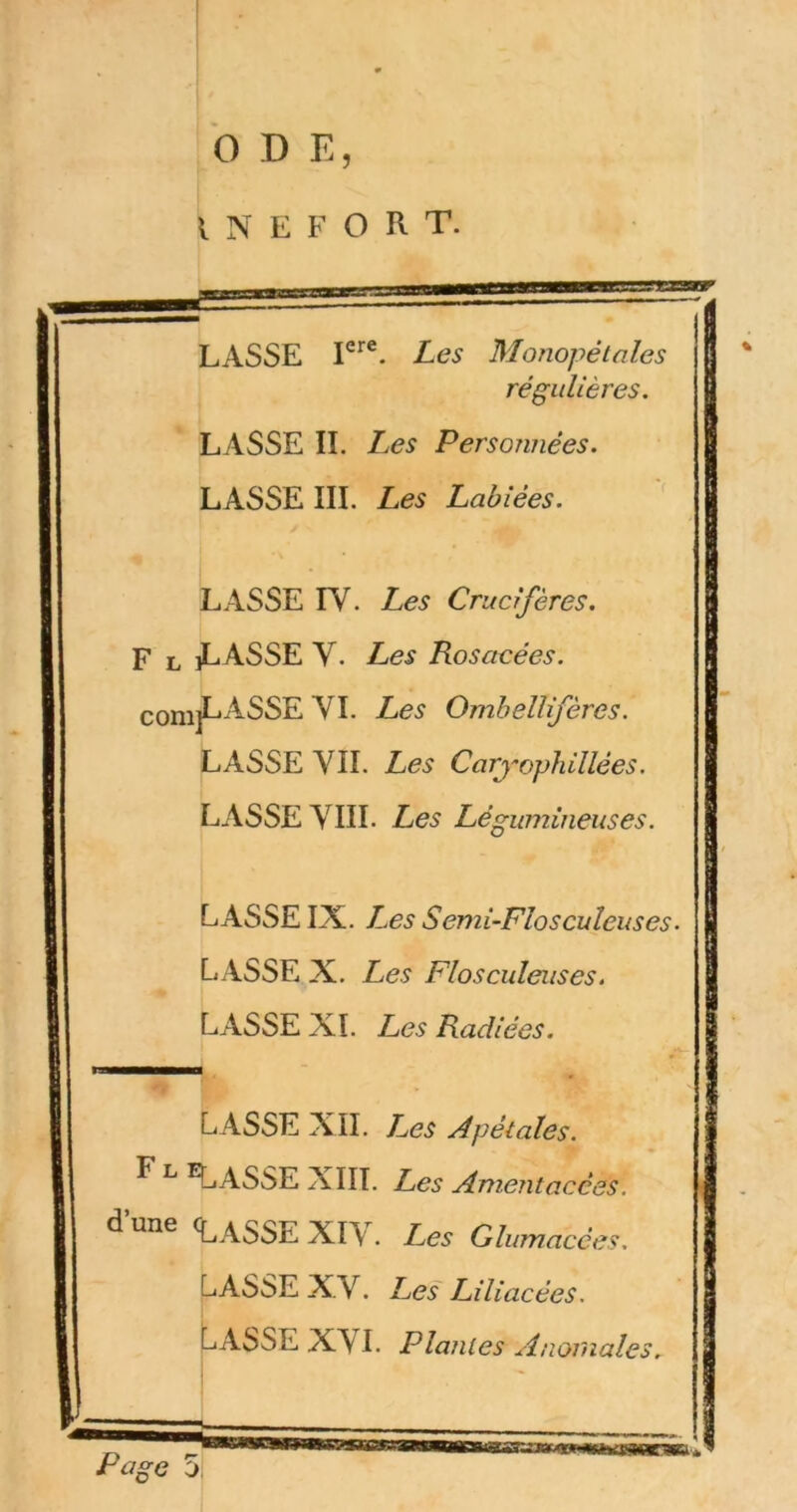 b D E, l N E F O R T. LASSE E*®. Les Monopétales régulières. LASSE IL Les Personnées. LASSE III. Les Labiées. ' LASSE lY. Les Crucifères. F L iLASSE y. Les Rosacées. comjLASSE YI. Les Omhellifères. LASSE YII. Les Caryophillées. LASSE YIII. Les Légumineuses. LASSE IX. T-.es Semi-Flosculeuses. LASSE X. Les Flosculeuses. LASSE XI. Les Radiées. L ASSE XII. T-ies Apétales. ^ ^ ^ASSE XIII. Les Amentacées. d’une <lasSE XIV. Les Glumacces. LASSE XY. Les Liliacées. LASSE XYI. Plantes Anomales.