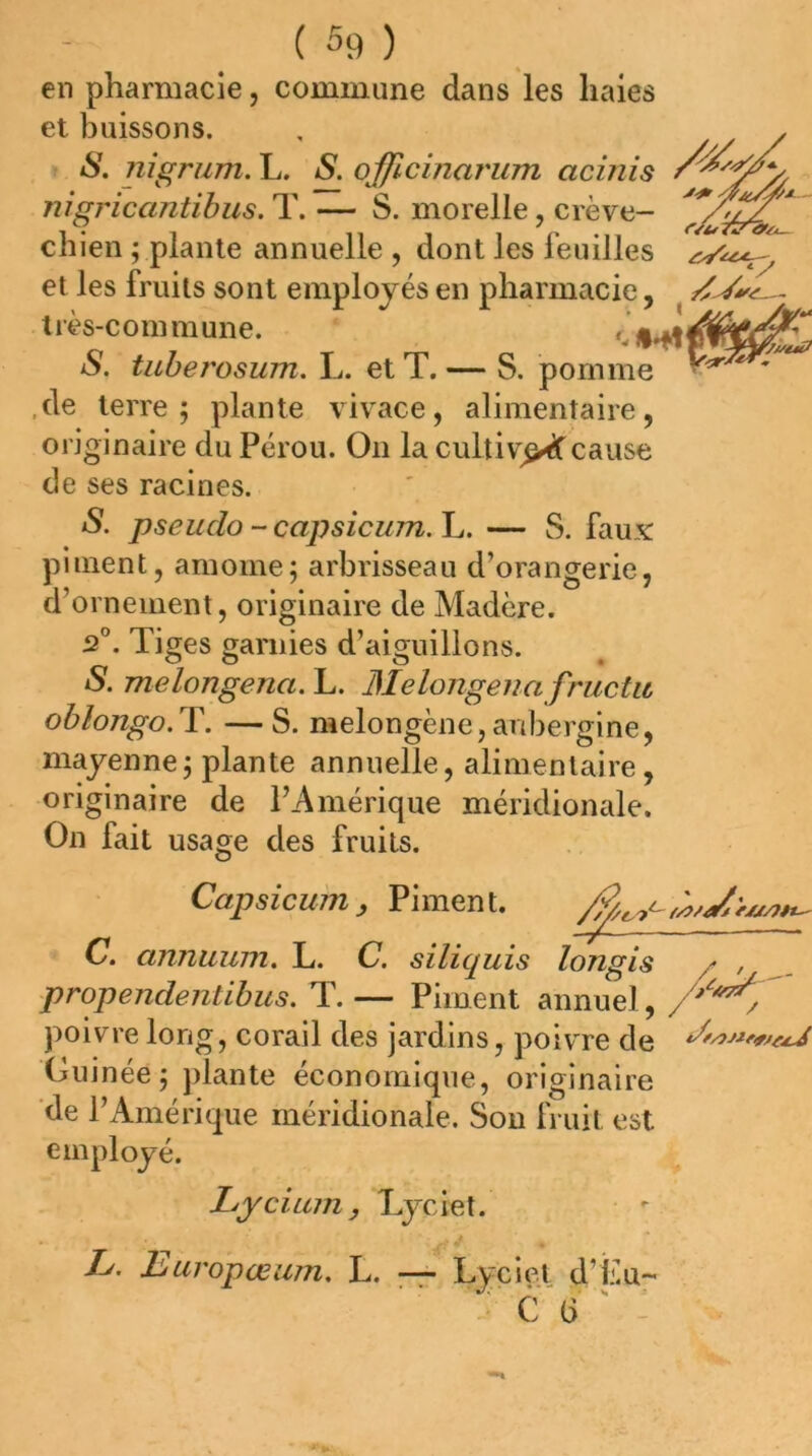 en pharmacie, commune dans les haies et buissons. S. nigrum. L. S. offtcinarum acinis y. nigricantibus. T. — S. morelle, crève- chien ; plante annuelle , dont les feuilles et les fruits sont employés en pharmacie, très-commune. 'Jd4! S. tiiberosum. L. et T. — S. pomme ,de terre; plante vivace, alimentaire, originaire du Pérou. On la cultiv^^cause de ses racines. vùtttf s. P se U do - capsicum. L. — S. faux piment, amome; arbrisseau d’orangerie, d’ornement, originaire de Madère. 2”. Tiges garnies d’aiguillons. S. melongena. L. Melongena fructit oblongo.T. —S. melongène,aubergine, mayenne; plante annuelle, alimentaire, originaire de l’Amérique méridionale. On fait usage des fruits. Capsicum, Piment. C. annimm. L. C. siliquis longis / , propendenübus. T. — Piment annuel, poivre long, corail des jardins, poivre de Guinée; plante économique, originaire de l’Amérique méridionale. Son fruit est employé. Lycium , Lyciet. L. Buropœum, L. — Lyciet d’Eu- C 6 ' :