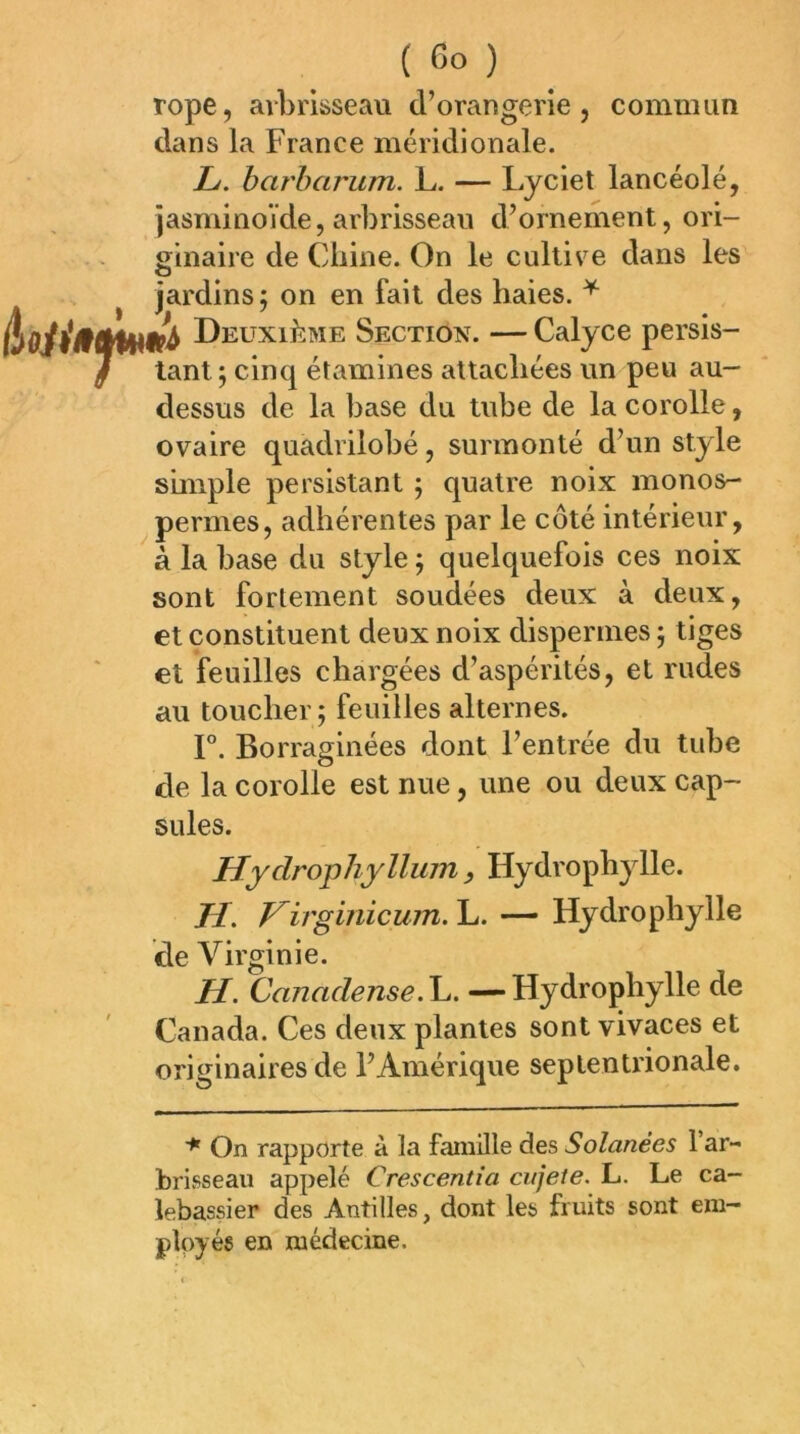 rope, arbrisseau d’orangerie, commun dans la France méridionale. L. barbarum. L. — Lyciet lancéolé, jasminoïde, arbrisseau d’ornement, ori- ginaire de Chine. On le cultive dans les jardins; on en fait des haies. ^ i Deuxième Section. — Calyce persis- tant ; cinq étamines attachées un peu au- dessus de la base du tube de la corolle, ovaire quadrilobé, surmonté d’un style shiiple persistant ; quatre noix monos- permes, adhérentes par le côté intérieur, à la base du style ; quelquefois ces noix sont fortement soudées deux à deux, et constituent deux noix dispermes ; tiges et feuilles chargées d’aspérités, et rudes au toucher; feuilles alternes. r. Borraginées dont l’entrée du tube de la corolle est nue, une ou deux cap- sules. Hydrophyllum , Hydrophylle. H. Virginicum. L. — Hydrophylle de Virginie. H. Canadense. L. — Hydrophylle de Canada. Ces deux plantes sont vivaces et originaires de l’Amérique septentrionale. On rapporte à la famille des Salariées l’ar- brisseau appelé Crescentia cujete. L. Le ca- lebassier des Antilles, dont les fruits sont em- ployés en médecine.