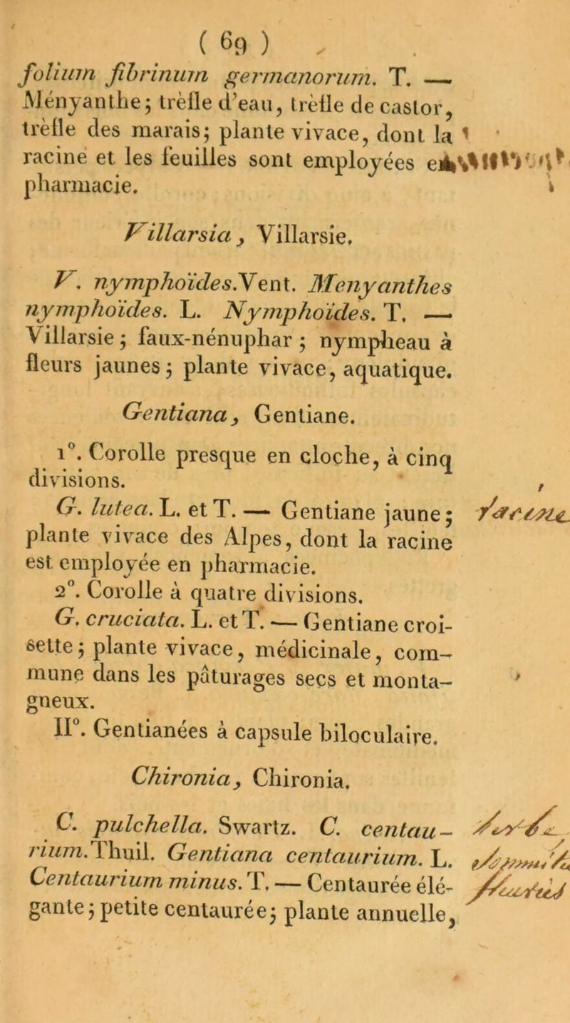 folium fihriniim gernicniorwn. T. — Ményanthe; trèlle d’eau, trèfle de castor, trèfle des marais; plante vivace, dont la ’ ‘ racine et les feuilles sont employées pharmacie. \ Villarsia^ Villarsîe. V. nymphoïdesNMenyanthes nyniphoides. L. Nyrnphoïdes. T. — Villarsie ; faux-nénuphar ; nymplieau à fleurs jaunes; plante vivace, aquatique. Gentiana) Gentiane. i'’. Corolle presque en cloche, à cinq divisions. , G. lutea.\j, et T. — Gentiane jaune 5 plante vivace des Alpes, dont la racine est employée en j)harmacie. 2”. Corolle à quatre divisions. G, crucicitct. L. et T. •— Gentiane croi- ôeite; plante vivace, médicinale, com- mune dans les pâturages secs et monta-  gneux. ir. Gentianées à capsule biloculaire. Chironiay Chironia. C. pulchella. Swartz. C. centau- /7z/77i.Thuil. Gentiana centaurium. L. Centaurium minus. T, — Centaurée élé- gante; petite centaurée; plante annuelle,