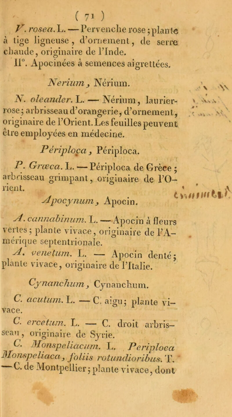 V. rosea. L. — Pervenche rose ; planfe à tige ligneuse, d’ornement, de serre chaude, originaire de l’Inde. ir. Apocinées à semences aigrettées. Nerium y Nérium. A. oleander. L. — Nérium, laurier- rose; arbrisseau d’orangerie, d’ornement, originaire de l’Orient.Les feuilles peuvent être employées en médecine. Périploça , Périploca. P. Grœca. L. — Périploca de Grèce ; arbrisseau grimpant ,_originaire de PO-- rient. yipocymtniy Apocin. yi.. cClJiiicihinuni. L. —Apocin à fleurs vertes; plante vivace, originaire de l’A- mérique septentrionale. ylt veiietum. L. — Apocin denté; plante vivace, originaire de l’Italie. Cynanchum, Cynanchum. C. cicutimi, L. —— C. aigu; plante vi- vace. C. ercetum. L. — C. droit arbris- seau , originaire de Syrie. C. Monspeliacum. !.. Perîploca Monspeliacay folUs rotundiorihas. T. ^C. de Montpellier ; plante vivace, dont