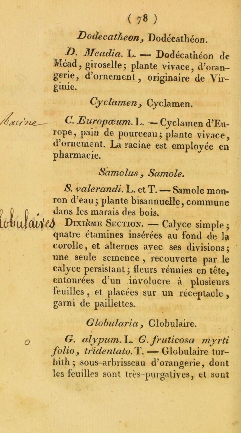 jDodeccitheony Dodécathéon. D. 3Teadia. L. —— Dodécathéon de Méad, girosellej plante vivace, d’oran- gerie, d^ornenjenl, originaire de Vir- ginie. Cyclamen y Cyclamen. C, Europœum. L. — Cyclamen d^Eu- lope, pain de pourceau j plante vivace, d ornement. l*a racine est employée en pharmacie. Samolus y Samole» S. valerandi, L. et T. — Sam oie mou- ron d’eau^ plante bisannuelle, commune P fl n , dans les marais des bois. Dixième Section. — Calyce simple ; quatre étamines insérées au fond de la corolle, et alternes avec ses divisions; une seule semence , recouverte par le calyce persistant ; fleurs réunies en tête, entourées d’un involucre à plusieurs leuilles, et placées sur un réceptacle , garni de paillettes. Glohularia y Globulaire. G. alypum.la. G.f?mticosa myrti folio y tridentato. T. — Globulaire lur- bith ; sous-arbrisseau d’orangerie, dont les feuilles sont très-purgatives, et sont