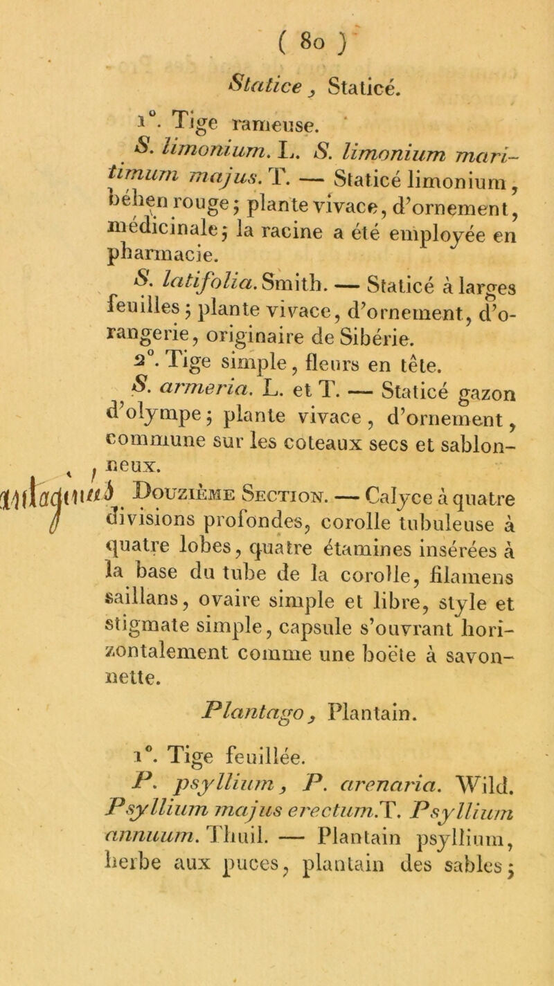 Statice j Stalicé. i“. Tige l'ameuse. S. limonium. I.. S. limonium mari- tirnum majus.T. — Staticé limonium, bélien rouge; plante vivace, d’ornement, médicinale; la racine a été employée en pharmacie. S. IcitiJ'olia.Sxmxh. — Sîaticé à larges feuilles ; plante vivace, d’ornement, d’o- rangerie, originaire de Sibérie. Tige simple, fleurs en tête. ^ S. armeria. L. et T. — Staticé gazon d’olympe ; plante vivace , d’ornement, commune sur les coteaux secs et sablon- ^ ^ ceux. (pwi Douzième Section. — Calyce à quatre divisions profondes, corolle tubuleuse à quatre lobes, quatre étamines insérées à la base du tube de la corolle, filamens saillans, ovaire simple et libre, style et stigmate simple, capsule s’ouvrant hori- zontalement comme une boéte à savon- nette. Plantago, Plantain. I®. Tige feuillée. P• psyllium, P. arenaria. Wild. Psyllium majus erectumiX, Psyllium nnnuum. Hhm\. — Plantain psyllium, herbe aux puces, plantain des sables;