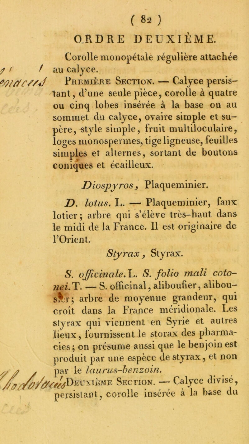 O.RDRE DEUXIÈME. Corolle moiiopélale régulière attachée ^ f /au calyce. Première Section. — Calyce persis- tant, d’une seule pièce, corolle à quatre ou cinq lobes insérée à la base ou au sommet du calyce, ovaire simple et su- père, style simple, fruit multiloculaire, loges monospennes, tige ligneuse, feuilles simples et alternes, sortant de boutons coniques et écailleux. Diospyros) Plaqueminier. D. lotus. L. — Plaqueminier, faux lotier; arbre qui s’élève très-haut dans le midi de la France. 11 est originaire de l’Orient. Styrax y Styrax. S. officinale.'L. S. folio mali coto- nei. T. — S. officinal, aliboufier, alibou- s^rj arbre de moyenne grandeur, qui croît dans la France méridionale. Les styrax qui viennent en Syrie et autres lieux, fournissent le storax des pharma- cies ; on présume aussi que le benjoin est produit par une espèce de styrax, et non y par le laurus-benzoin. ^^^^^^Deuxième Section. — Calyce divisé, persistant, corolle insérée à la base du