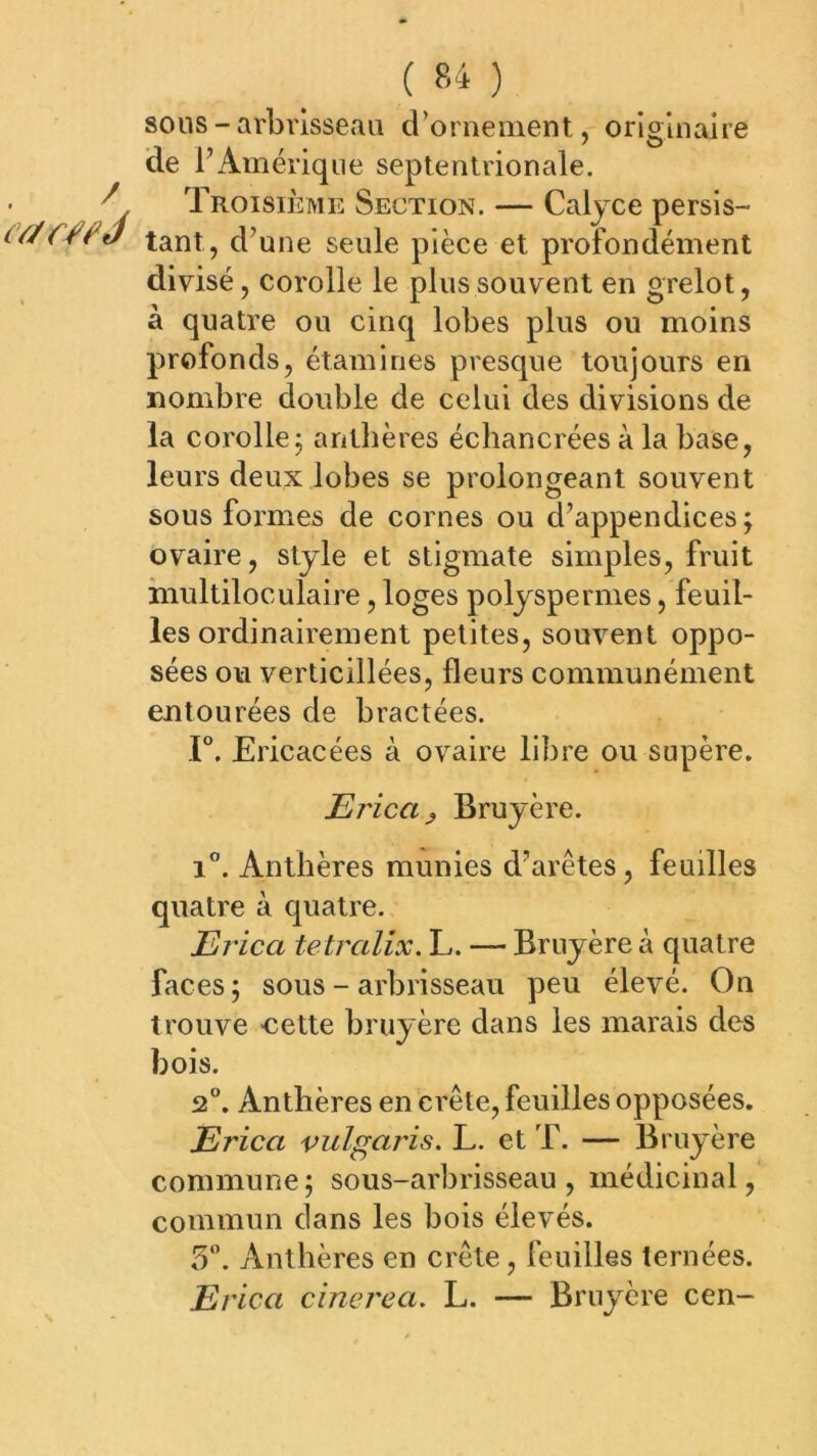 / (V/f-ffJ ( 84 ) sons - arbrisseau d’ornement, originaire de l’Amérique septentrionale. Troisième Section. — Calyce persis- tant, d’une seule pièce et profondément divisé, corolle le plus souvent en grelot, à quatre ou cinq lobes plus ou moins profonds, étamines presque toujours en nombre double de celui des divisions de la corolle j antbères échancrées à la base, leurs deux lobes se prolongeant souvent sous formes de cornes ou d’appendices; ovaire, style et stigmate simples, fruit multiloculaire, loges polyspermes, feuil- les ordinairement petites, souvent oppo- sées ou verticillées, fleurs communément entourées de bractées. T. Ericacées à ovaire libre ou supère. Erica^ Bruyère. i”. Antbères munies d’arêtes, feuilles quatre à quatre. Erica tetralix. L. — Bruyère à quatre faces ; sous - arbrisseau peu élevé. On trouve -cette bruyère dans les marais des bois. 2“. Anthères en crête, feuilles opposées, Erica vulgai'is. L. et T. — Bruyère commune; sous-arbrisseau, médicinal, commun dans les bois élevés. 5. Anthères en crête, feuilles ternées. Erica cinerea. L. — Bruyère cen-