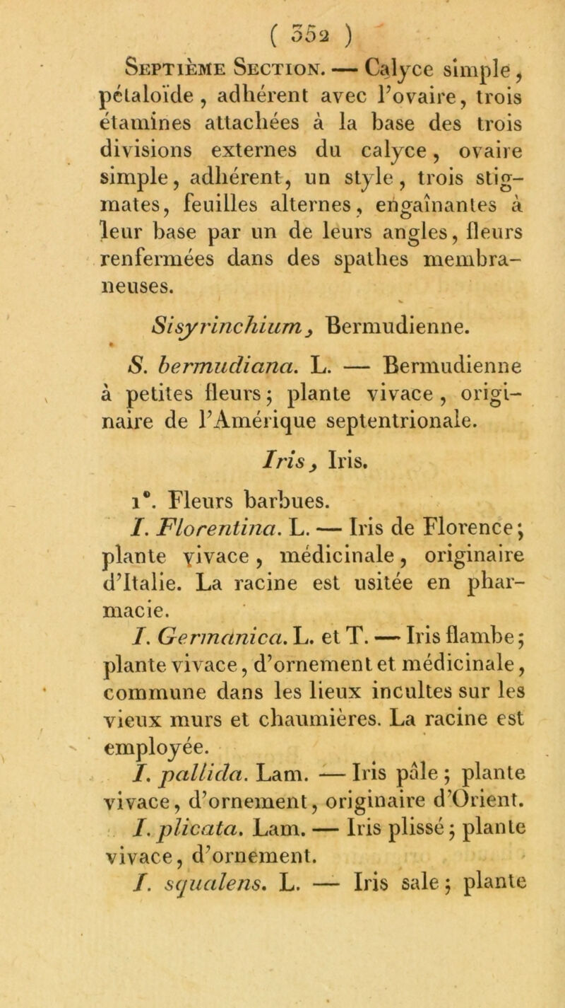 Septième Section. — Calyce simple, pélaloïde , adhérent avec l’ovaire, trois étamines attachées à la base des trois divisions externes du calyce, ovaire simple, adhérent, un style, trois stig- mates, feuilles alternes, engainantes à leur base par un de leurs angles, fleurs renfermées dans des spathes membra- neuses. Sisyrinchiumy Bermudienne. • S. hermudiana. L. — Bermudienne à petites fleurs ; plante vivace , origi- naire de l’Amérique septentrionale. Iris y Iris. 1*. Fleurs barbues. I. FLorentina. L. — Iris de Florence ; plante ylvace , médicinale, originaire d’Italie. La racine est usitée en phar- macie. /. Germanica. L. et T. — Iris flambe ; plante vivace, d’ornement et médicinale, commune dans les lieux incultes sur les vieux murs et chaumières. La racine est employée. I, pallida. Lam. — Iris pâle ; plante vivace, d’ornement, originaire d’Orient. I. plicata. Lam. — Iris plissé j plante vivace, d’ornement. /. scjualens. L. — Iris sale 5 plante