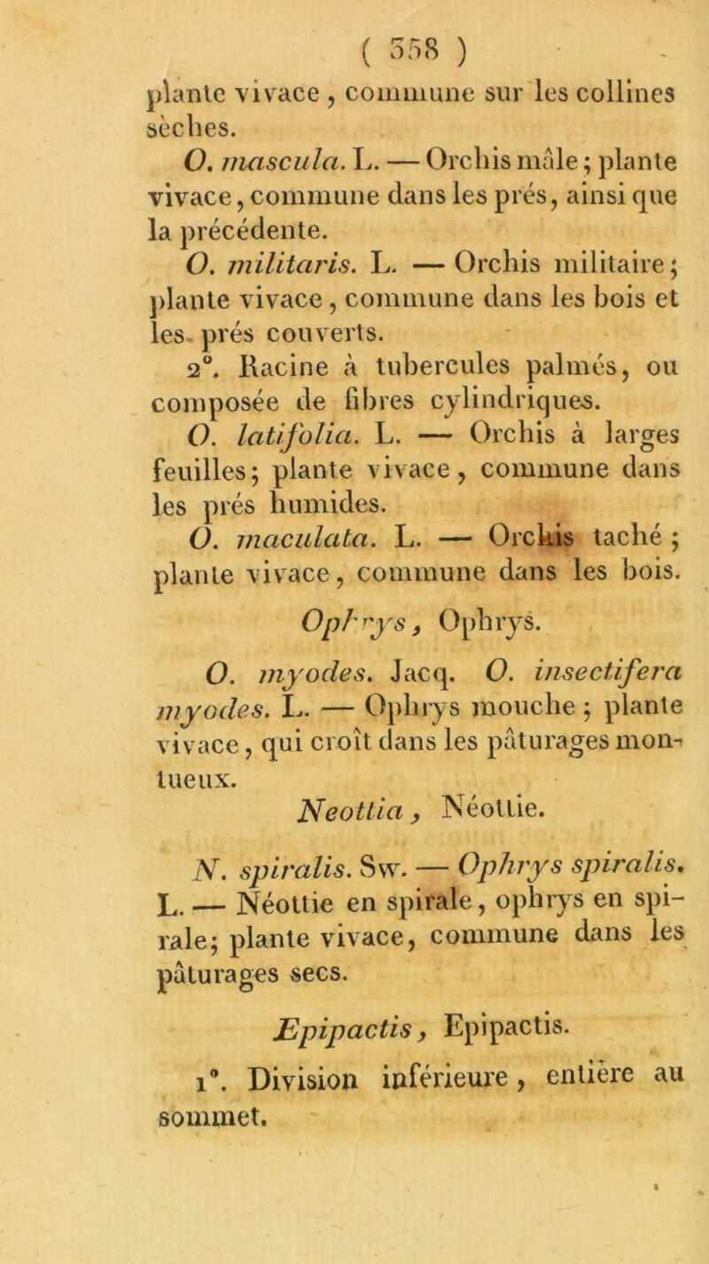 plante \ivace , commune sur les collines sèches. O. mascula. L. — Orcliis male ; plante vivace, commune dans les prés, ainsi que la précédente. O. militaris. L. —Orchis militaire; j)lante vivace, commune dans les bois et les. prés couverts. 2. Racine à tubercules palmés, ou composée de fibres cylindriques. O. latifolia. L. — Orchis à larges feuilles; plante vivace, commune dans les prés humides. O. maculata. L. — Orchis taché ; plante viv^ace, commune dans les bois. OpI' ''ys, Ophrys. O. myodes. Jacq. O. insectifera myodes. L. — Oj)hrys mouche ; plante vivace, qui croît dans les pâturages mom tueux. Neotiia, Néottie. N. spiralis. Sw. — OpJnys spiralis, L. — Néottie en spirale, ophiys en spi- rale; plante vivace, commune dans les pâturages secs. JEpipactis, Epipactis. 1®. Division inférieure, entière au sommet.