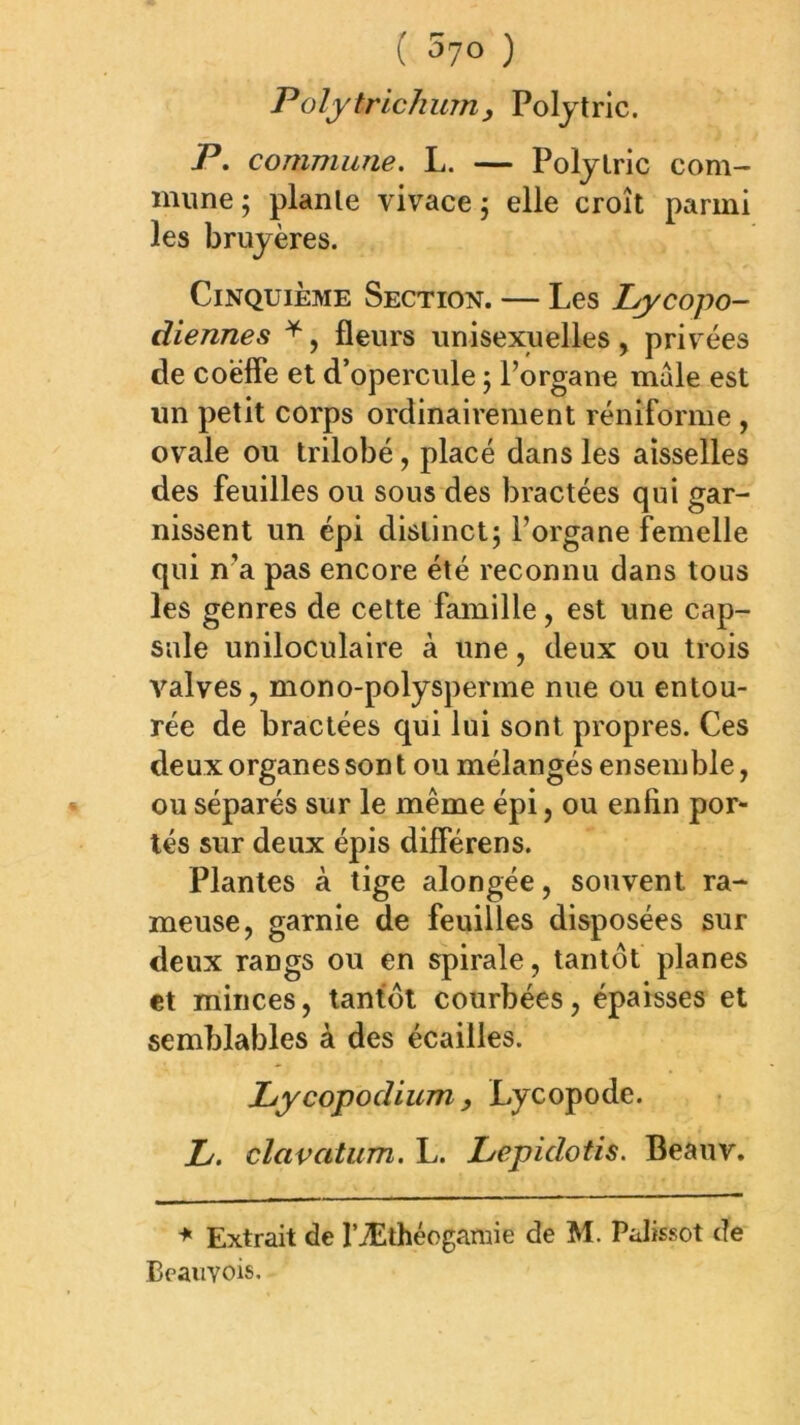 ( 57° ) Polytrichum, Poljtric. P. commune. L. — Poljlric com- imine; planle vivace j elle croît parmi les bruyères. Cinquième Section. — Les Lycopo- diennes ^, fleurs unisexuelles, privées de coëfie et d’opercule ; l’organe male est un petit corps ordinairement réniforme , ovale ou trilobé, placé dans les aisselles des feuilles ou sous des bractées qui gar- nissent un épi distinct j l’organe femelle qui n’a pas encore été reconnu dans tous les genres de cette famille, est une cap- sule uniloculaire à une, deux ou trois valves, mono-polysperme nue ou entou- rée de bractées qui lui sont propres. Ces deux organes son t ou mélangés ensemble, ou séparés sur le même épi, ou enfin por- tés sur deux épis différens. Plantes à tige alongée, souvent ra- meuse, garnie de feuilles disposées sur deux rangs ou en spirale, tantôt planes et minces, tantôt courbées, épaisses et semblables à des écailles. Jbycopodium, Lycopode. h. clavatum. L. Lepidotis. Beauv. Extrait de l’Æthéogamie de M. Palissot de EpaiiYois,