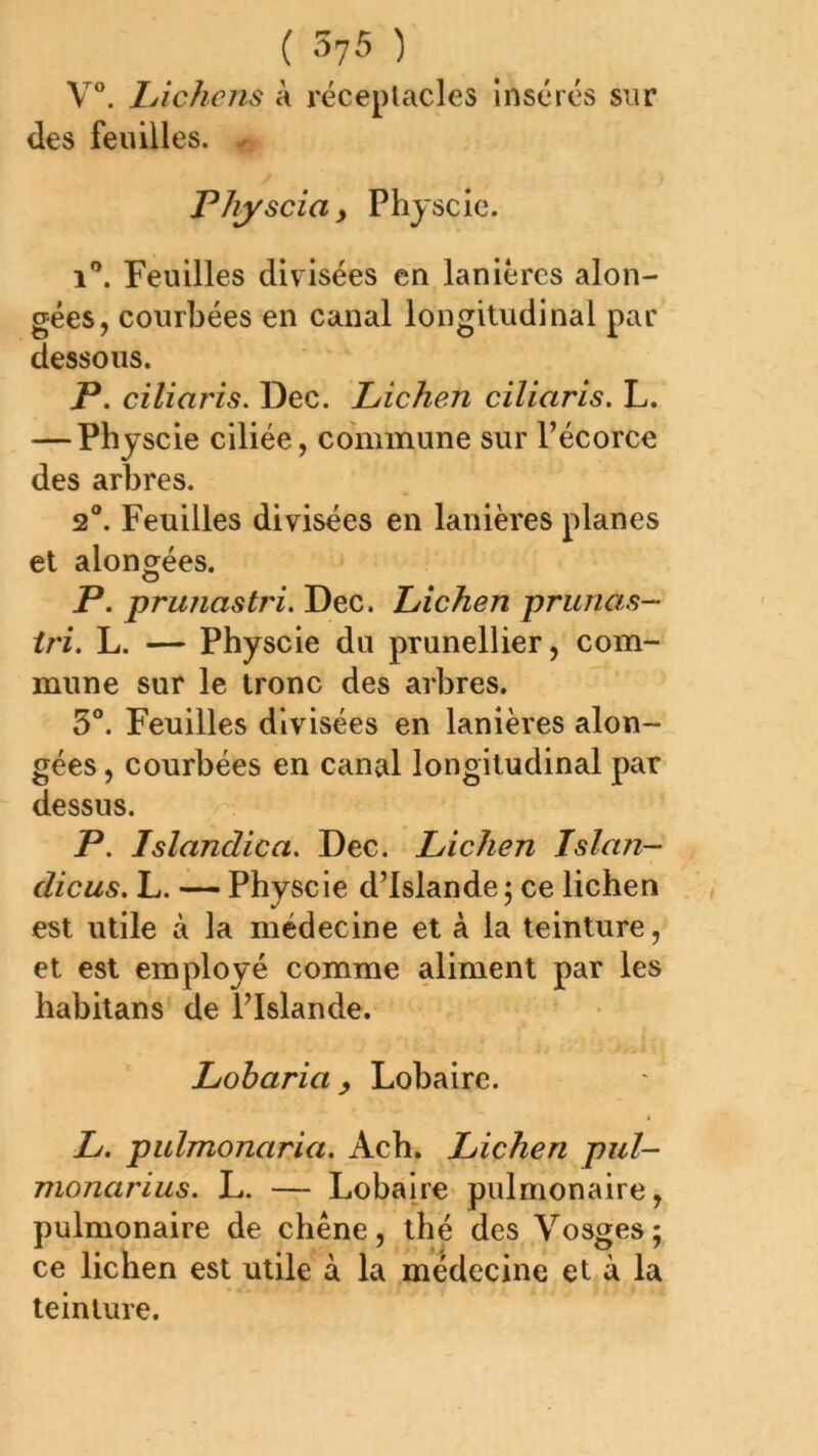 V°. lAchens à réceplacles insérés sur des feuilles. - Fhyscia y Phjscie. 1°. Feuilles divisées en lanières alon- gées, courbées en canal longitudinal par dessous. /*. ciliaris, Dec. Lichen ciliaris. L. — Physcie ciliée, commune sur l’écorce des arbres. 2°. Feuilles divisées en lanières planes et alongées. P. pruîiastri. Dec. Lichen prunas- iri. L. — Physcie du prunellier, com- mune sur le tronc des arbres. 3“. Feuilles divisées en lanières alon- gées , courbées en canal longitudinal par dessus. P. Islandica. Dec. Lichen Islan- dicus. L. — Physcie d’islandej ce lichen est utile à la médecine et à la teinture, et est employé comme aliment par les habitans de l’Islande. Lobaria y Lobaire. L. pulmonaria. Ach. Lichen pul- monarius. L. — Lobaire pulmonaire, pulmonaire de chêne, thé des Vosges; ce lichen est utile à la médecine et à la teinture.