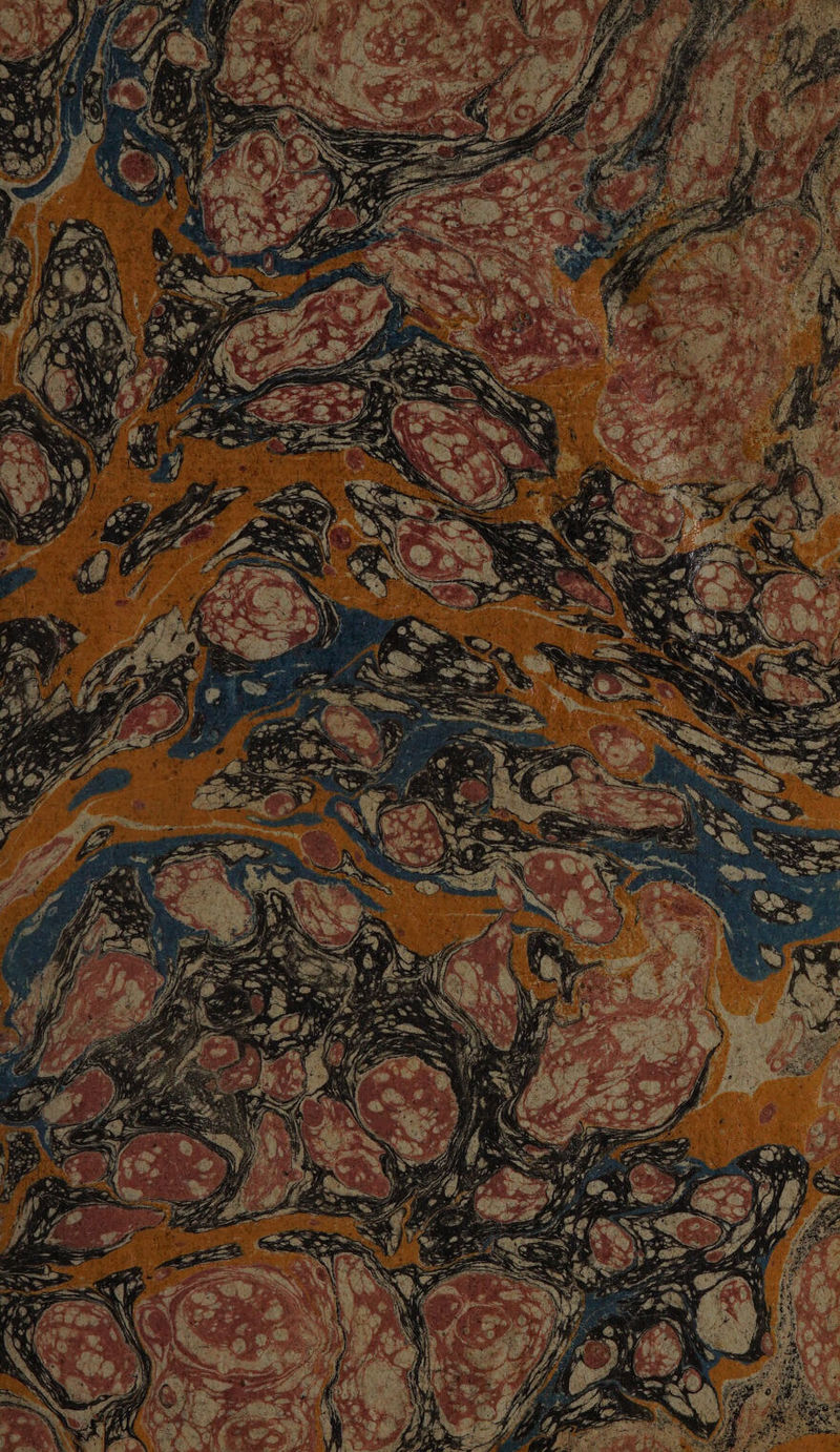 No text description is available for this image