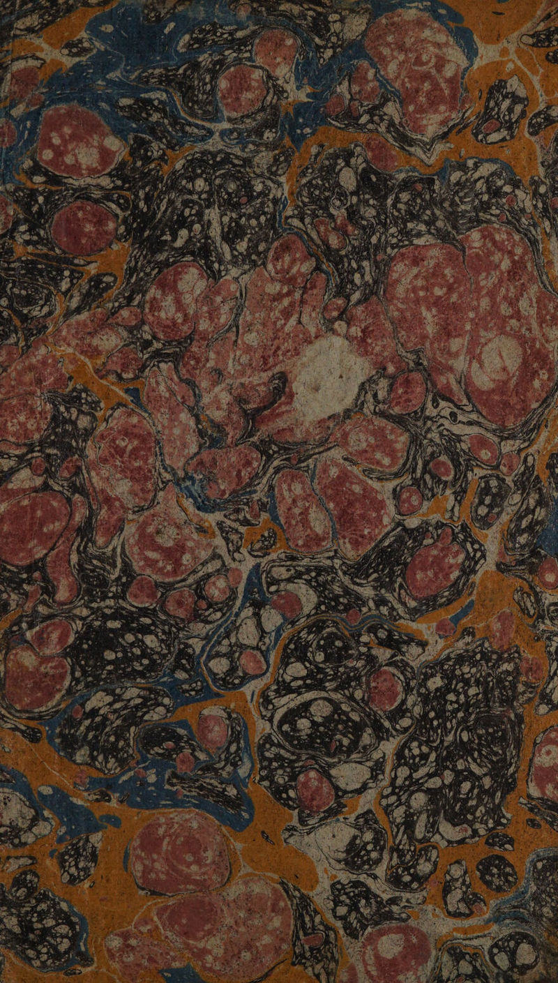 No text description is available for this image