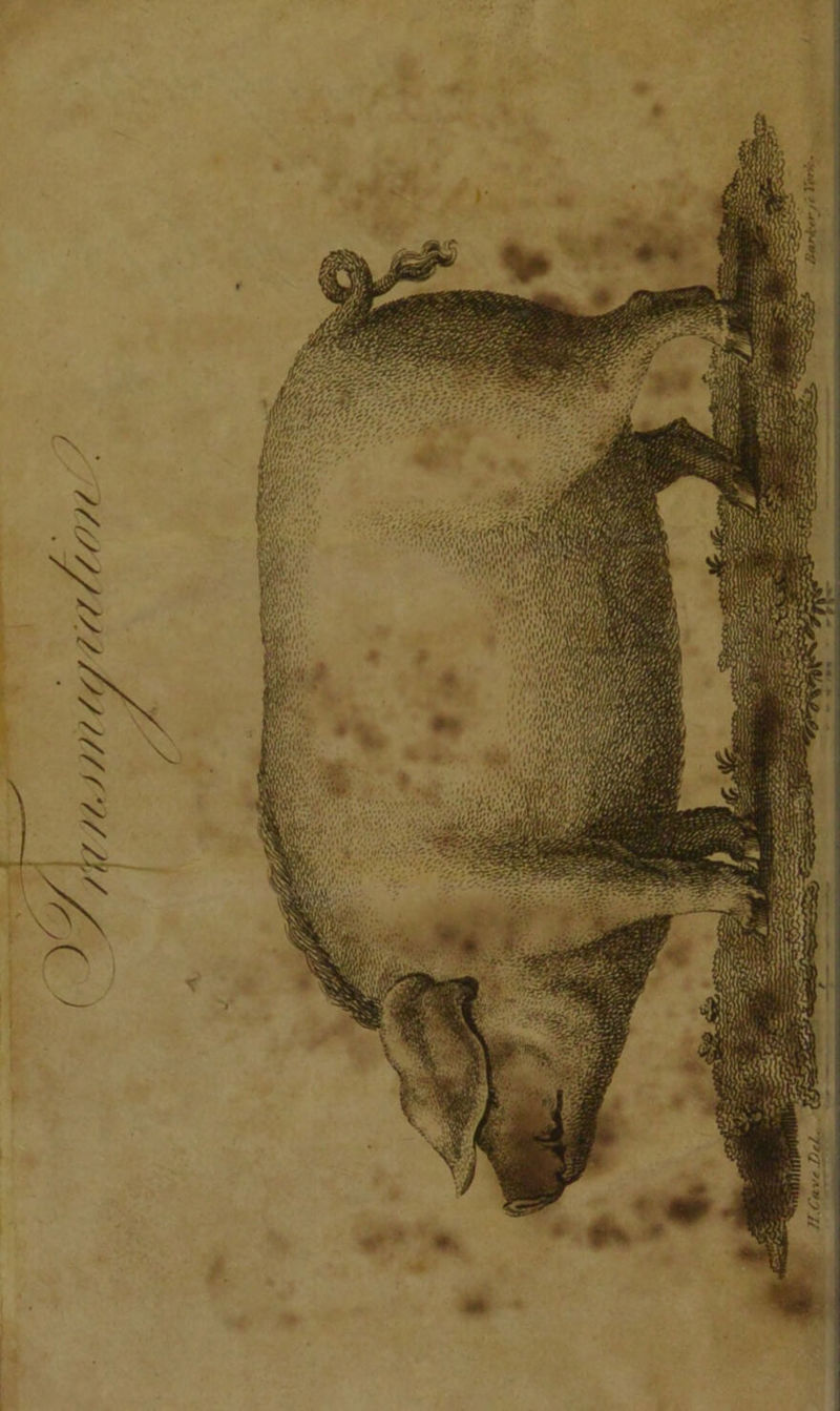 70 4 VA Ae ee A HE Cpanie Doles