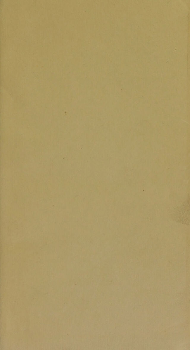 digitised image 3