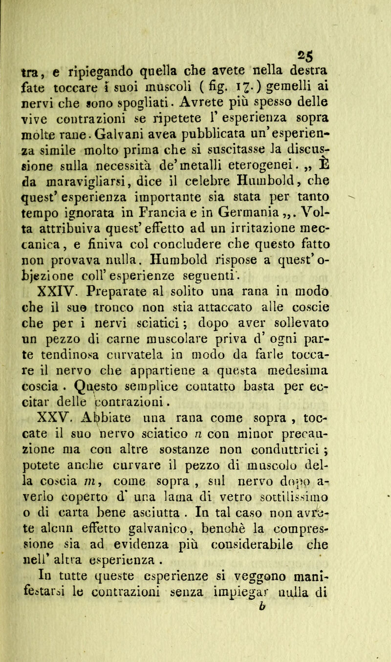 tra, e ripiegando quella che avete nella destra fate toccare i suoi muscoli ( fig. i£.) gemelli ai nervi che sono spogliati. Avrete più spesso delle vive contrazioni se ripetete f esperienza sopra molte rane.Galvani avea pubblicata un’esperien- za simile molto prima che si suscitasse Ja discus- sione sulla necessita de’metalli eterogenei. „ È da maravigliarsi, dice il celebre Humbold, che quest’ esperienza importante sia stata per tanto tempo ignorata in Francia e in Germania Vol- ta attribuiva quest’effetto ad un irritazione mec- canica , e finiva col concludere che questo fatto non provava nulla. Humbold rispose a quest’o- biezione coll’esperienze seguenti. XXIV. Preparate al solito una rana in modo che il suo tronco non stia attaccato alle coscie che per i nervi sciatici ; dopo aver sollevato un pezzo di carne muscolare priva d’ ogni par- te tendinosa curvatela in modo da farle tocca- re il nervo che appartiene a questa medesima coscia . Questo semplice contatto basta per ec- citar delie Contrazioni. XXV. Abbiate una rana come sopra , toc- cate il suo nervo sciatico n con minor precau- zione ma con altre sostanze non conduttrici ; potete anche curvare il pezzo di muscolo del- la coscia in, come sopra , sul nervo dopo a- verlo coperto d* una lama di vetro sottilissimo o di carta bene asciutta . In tal caso non avre- te alcun effetto galvanico, benché la compres- sione sia ad evidenza più considerabile che nell’ altra esperienza . In tutte queste esperienze si veggono mani- festarsi le contrazioni senza impiegar nulla di b