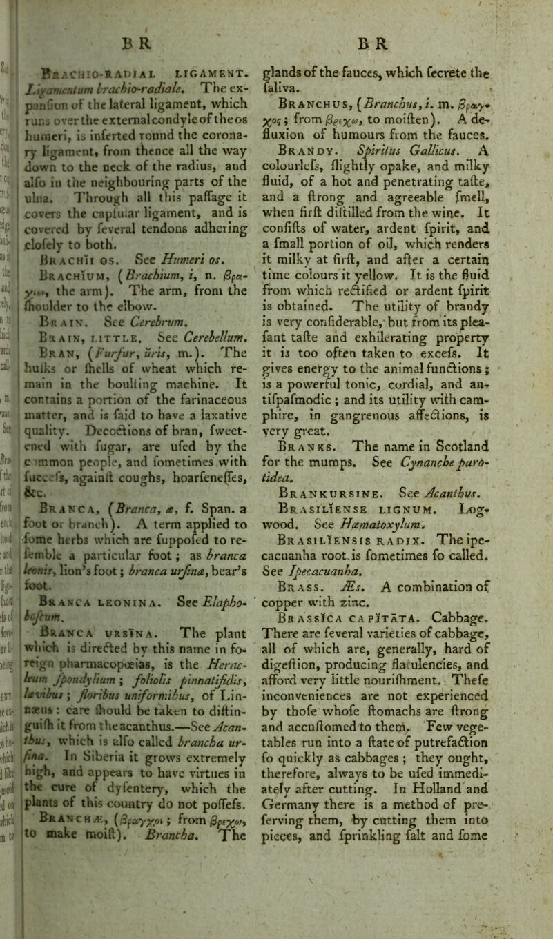 & 'fry tin' err, k u 10J nut uni the and 'el?,. (lit! hid arc- call , in. m See tfe it 01 B R Brachio-radial ligament. l.]yamentum brachio-radiale. The ex- pjnfiunof the lateral ligament, which runs over the external condyleof theos humeri, is inferted round the corona- ry ligament, from thence all the way- down to the neck of the radius, and alfo in the neighbouring parts of the ulna. Through all this paffage it covers the capfuiar ligament, and is covered by feveral tendons adhering clofely to both. Bra chi i os. See Humeri os. Brachium, [Brachium, i, n. @pa- •y.t,*, the arm). The arm, from the fhoulder to the elbow. Brain. See Cerebrum. Era in, little. See Cerebellum. Bran, (Furfur, uris, m.). The huiks or fhells of wheat which re- main in the bouUing machine. It contains a portion of the farinaceous matter, and is faid to have a laxative quality. DecoCtions of bran, fweet- ened with fugar, are ufed by the c >mmon people, and fometimes with fucccl's, againft coughs, hoarfeneffes, &c. iron I Branca, [Branca, a, f. Span, a er; \\ foot o. branch). A term applied to Ito.i fume herbs which are fuppofed to re- ar femble a particular foot; as branca rtk leans, lion’s foot; branca urfina, bear’s ligj- foot. to Branca leonina. See Elapho- :1s of boftum. to | Branca ursina. The plant arl which is directed by this name in fo* Ml reign pharmacopeias, is the Herne- leum Jpondylium ; foliolis pinnatifidis, ENT. i lavibus ; floribus unformibus, of Un- it fl* naeus • care ftiould be taken to diltin- ichis guilh it from the acanthus.—SttAcan- jstitM thus, which is alfo called brancha ur- dicli In Siberia it grows extremely Hike high, and appears to have virtues in tod the cure of dyfentery, which the o* plants of this country do not poffefs. diet | Brancha-, ; from @pex*>* u tJ make moift). Brancha. The B R glands of the fauces, which fecrete the faliva. Branch us, [Branchusyi. m. {3pa.y~ yoq; from B^X^*to moiften). A de- fluxion of humours from the fauces. Brandy. Spirilus Gallicus. A colourlefs, flightly opake, and milky fluid, of a hot and penetrating tafte, and a ftrong and agreeable fmell, when firft diftilled from the wine. It confifts of water, ardent fpirit, and a fmall portion of oil, wkich renders it milky at firft, and after a certain time colours it yellow. It is the fluid from which rectified or ardent fpirit is obtained. The utility of brandy is very confiderable, but from its piea- fant tafte and exhilerating property it is too often taken to excefs. It gives energy to the animal functions ; is a powerful tonic, cordial, and an? tifpafmodic ; and its utility1- with cam- phire, in gangrenous affections, is very great. Branks. The name in Scotland for the mumps. See Cynancheparo~ tidea. Brankursine. Set Acanthus. Brasiliense lignum. Log* wood. See Heematoxylum* Brasiliensis radix. The ipe- cacuanha root, is fometimes fo called. See Ipecacuanha. Brass. ALs. A combination of copper with zinc. Bhassica capitata. Cabbage. There are feveral varieties of cabbage, all of which are, generally, hard of digeftion, producing flarulencies, and afford very little nourifhment. Thefe inconveniences are not experienced by thofe whofe ftomachs are ftrong and accuftomed to them. Few vege- tables run into a ftateof putrefaction fo quickly as cabbages ; they ought, therefore, always to be ufed immedi- ately after cutting. In Holland and Germany there is a method of pre- ferving them, by cutting them into pieces, and fprinkling fait and fome \