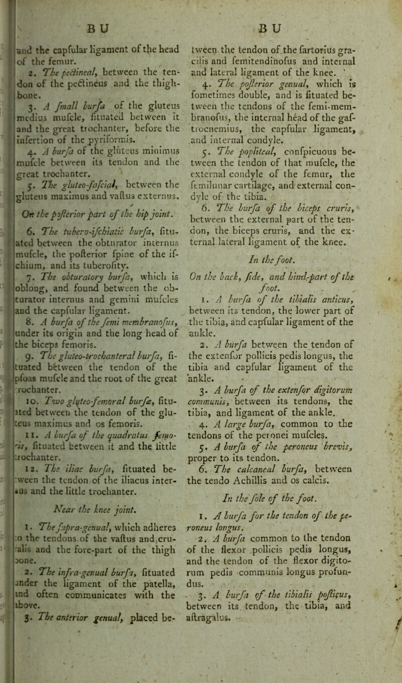 } and the capfular ligament of the head 11 of the femur. 2. The pefiincal, between the ten- don of the pe&ineus and the thigh- bone. 3. A fmall burfa of the gluteus Imedius mufcle, fituated between it and the great trochanter, before the infertion of the pyriforrnis. 4. A burfa of the gluteus minimus ; mufcle between its tendon and the I great trochanter. 5. The glut eofafcud, between the gluteus maximus and vaflus externus. «# / • On the pjjlerlor part of the hip joint. 6. The tuber 0-ifchiatic burfa, fitu- ated between the obturator internus mufcle, the pofterior fpine of the if- chium, and its tuberofity. 7. The obturatory burfa, which is oblong, and found between the ob- turator internus and g-emini mufcles and the capfular ligament. 8. A burfa of the feml membrane fus, under its origin and the long head of [the biceps femoris. 9. The gluteo-trochanteral burfa, fi- . tuated between the tendon of the C:I pfoas mufcle and the root of the great '.rochanter. 10. Two glqteo femoral burfa, fitu- sI Jted between the tendon of the glu- teus maximus and os femoris. 11. A burfa of the quadratus fetuo- 5-1 As, fituated between it and the little - t trochanter. 12. The iliac burfa, fituated be- jr l :ween the tendon of the iliacus inter- ims and the little trochanter. dK Ju, _ • Near the knee joint. 1. The fipra-gcnual, which adheres * :o the tendons of the vaftus and cru- : 1 rail’s and the fore-part of the thigh Done. , 2. The infra-genual burfa, fituated snder the ligament of the patella, | ind often communicates with the ibove. 3. The anterior genual, placed be- tween the tendon of the fartorius gra- cilis and femitendinofus and internal and lateral ligament of the knee. ‘ 4. The pojlerior genual, which is fometirnes double, and is fituated be- tween the tendons of the femi-mem- branofus, the internal head of the gaf- trocnemius, the capfular ligament, and internal condyle. 5. The popliteal, confpicuous be- tween the tendon of that mufcle, the external condyle of the femur, the femilunar cartilage, and external con- dyle of the tibia. 6. Tile burfa of the biceps cruris, between the external part of the ten- don, the biceps cruris, and the ex- ternal lateral ligament of the knee. In the foot. On the back, fide, and hind,rpart of the foot. . 1. A burfa of the tibialis anticus, between its tendon, the lower part of the tibia, and capfular ligament of the ankle. 2. A burfa between the tendon of the extenfor pollicis pedis longus, the tibia and capfular ligament of the ankle. 3. A burfa of the extenfor digitorum communis, between its tendons, the tibia, and ligament of the ankle. 4. A. large burfa, common to the tendons of the peronei mufcles. 5. A burfa of the peroneus brevis, proper to its tendon. 6. The calcaneal burfa, between the tendo Achillis and os calcis. In the foie of the foot. 1. A burfa for the tendon of the pe- roneus longus. 2. A burfa common to the tendon of the flexor pollicis pedis longus, and the tendon of the flexor digito- rum pedis communis longus profun- dus. ' , 3. A burfa of the tibialis pojlicus, between its tendon, the tibia, and aftragalus.