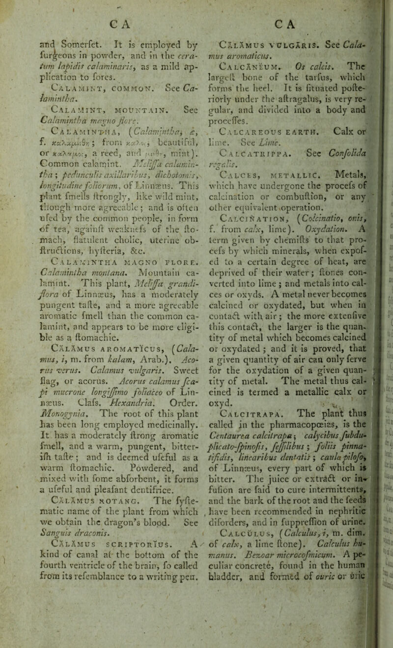 C A and Somerfct. It is employed by fur|reons in powder, and in the ccra- tum lapidis calaminaris, as a mild ap- plication to fores. Calamikt, common. See Ca- lamintha. Cal a Mint, mountain. See Calamintha mc.gno flare. C a l a m i n ri>n A, ( Calamintha, <c, f. x.oLha.f.% ; from beautiful, or a reed, and <<.s”9r, mint). Common calamint. Md'fj'a calumin- tha ; pedancul'is axillaribus, dichotomys, longiludinefoliorum, of Linnaeus. This plant fmeils flrongly, like wild mint, though more agreeable; and is often lifed by the common people, in form of tea, again ft weakntfs of the do- xnach, flatulent cholic, uterine ob- flruciicns, hyfleria, &c. Calamintha magno tlore. Calamintha montana. Mountain ca- lam mt. This plant, Mell fa grandi- jlora of Linnaeus, has a moderately pungent tafle, and a more agreeable aromatic fmell than the common ca- lamint, and appears to be more eligi- ble as a fiomachic. Calamus aromaticus, (Cala- mus, if m. from kalam, Arab.), Aco- rns merits. Calamus vulgaris. Sweet flag, or acorus. Acorns calamus fca- pi mucrone longijjimo foliaceo of Lin- naeus. Clafs. Alexandria. Order. Monogynia. The root of this plant has been long employed medicinally. It has a moderately llrong aromatic fmell, and a warm, pungent, bitter- ifn tafle ; and is deemed ufeful as a warm fiomachic. Powdered, and mixed with fome abforbent, it forms a ufeful and pleafant dentifrice. Calamus kotang. The fyfie- matic name of the plant from which we obtain the dragon’s blood. See Sanguis draconis. Calamus script or s.us. A kind of canal at the bottom of the fourth ventricle of the brain, fo called from its refemblance to a writing pen. C A Calamus vulgaris. See Cala- mus aromaticus. Calcan'eum. Os calcis. The larged bone of the tarfus, which forms the heel. It is fituated pofle- riorly under the aflragalus, is very re- gular, and divided into a body and procenes. Calcareous earth. Calx or lime. See Litnc. Calcathippa. See Confolida reg alls. Calces, metallic. Metals, which have undergone the procefs of calcination or combuilion, or any * other equivalent operation. Calcination, (C olclnatio, on is, f. from calx, lime). Oxydation. A term given by chernifls to that pro- cefs by which minerals, when expof- ed to a certain degree of heat, are deprived of their water; ftones con- verted into lime ; and metals into cal- ces or oxyds. A metal never becomes j m calcined or oxydated, but when m contact with air; the more extenfive this contact, the larger is the quan- tity of metal which becomes calcined or oxydated ; and it is proved, that a given quantity of air can only ferve for the oxydation of a given quan- : tity of metal. The metal thus cal- U cined is termed a metallic calx orlj oxyd. Calcitrapa. The plant thus called in the pharmacopoeias, is the Centaurca calcitrapa; calycibus fubdu- plicalo-fpitiofis, fejjilibus ; Joins pinna- tifidis, linearikus dentatis ; cauhx pilofo, of Linnaeus, every part of which is bitter. The juice or extnldl or in* fulicn are faid to cure intermittents, and the bark of the root and the feeds , have been recommended in nephritic I diforders, and in fuppreflion of urine. Calculus, (Calculus,V, m. dim. of calx, a lime done). Calculus hu- manus. Be%oar microcofmicum. A pe- culiar concrete, found in the human bladder, and formed of auric or 6lie