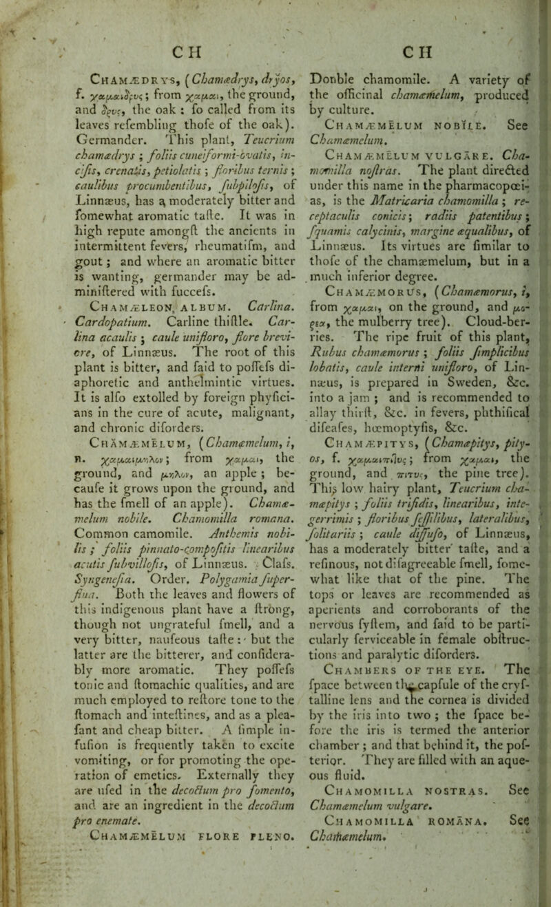 Chamjedr ys, (Chamadrys, dryos, f. yotfjuuSfvq; from yufisc., the ground, and the oak : fo called from its leaves refemblitig thofe of the oak). Germander. This plant, Teucrium chamadrys ; folds cuneformi-'ovatis, -u- cfis, crenads, petiolatis ; fioribus terms ; caul'll)us procumbentibus, fubpilqfis, of Linnaeus, has g moderately bitter and fomewhat aromatic tade. It was in high repute among(1 the ancients in intermittent fevers, rheumatifm, and gout; and where an aromatic bitter is wanting, germander may be ad- minidered with fuccefs. Chameleon, album. Carlin a. Cardopatium. Carline thifile. Car- lina acaulis ; caule unifioro, fore brevi- cre, of Linnaeus. The root of this plant is bitter, and faid to poflefs di- aphoretic and anthelmintic virtues. It is alfo extolled by foreign phyfici- ans in the cure of acute, malignant, and chronic diforders. Cham jemelum, (Chamamelum, /, n. ya/nui/^’^ov; from 1, the ground, and pr^ov, an apple ; be- caufe it grows upon the ground, and has the fmell of an apple). Chama- melum nobile. Chamomilla romatia. Common camomile. j4nthemis nobi- lis ; folds pinnato-conpofitis linearibus acutis fubvillofis, of Linnaeus. Clafs. Syngenefia. Order. Poly garni a fiper- fiua. Both the leaves and flowers of this indigenous plant have a Itrong, though not ungrateful fmell, and a very bitter, naufeous tade:' but the latter are the bitterer, and confidera- bly more aromatic. They poflefs tonic and domachic qualities, and are much employed to reftore tone to the ftomach and intedines, and as a plea- fant and cheap bitter. A Ample in- fufion is frequently taken to excite vomiting, or for promoting the ope- ration of emetics. Externally they are ufed in thz decoBum pro fomento, and are an ingredient in the decodum pro enemate. ChaM^MELUM FLORE FLENO. Double chamomile. A variety of the officinal chamamelum, produced by culture. Chama:.melum nobile. See Chamamelum, Chama-melum vulgare. Cha- momilla nojlras. The plant directed under this name in the pharmacopoei- as, is the Matricaria chamomilla ; re- ceptaculis conicis; radiis patentibus; fquamis calycinis, mar fine aqualibus, of Linnaeus. Its virtues are fimilar to thofe of the chamaemelum, but in a much inferior degree. Cham/emorUs, (Chamamorus, /, from xa.[/.y. 1, on the ground, and ^0- the mulberry tree). Cloud-ber- ries. The ripe fruit of this plant. Rub us chamamorus ; folds fimplicibus lobatis, caule interfli uniforo, of Lin- naeus, is prepared in Sweden, &c. into a jam ; and is recommended to allay third, &c. in fevers, phthifical difeafes, hoemoptyfis, &c. Chameepitys, (ChamapitySf pity- os, f. x<zL<.ui7rSjv(;from the ground, and irirve, the pine tree). Thi^ low hairy plant, Teucrium cl .ya- rn a pity s ; folds trifidis, linearibus, intc- gerrtmis ; fioribus fejfilibus, lateralibus, folitariis ; caule diffufo, of Linnaeus, has a moderately bitter' tade, and a refinous, not difagreeable fmell, fome- what like that of the pine. The tops or leaves are recommended as aperients and corroborants of the nervous fydem, and faid to be parti- cularly ferviceable in female obllruc- tions and paralytic diforders. Chambers of the eye. The fpace between tliicapfule of the cryf- talline lens and the cornea is divided by the iris into two ; the fpace be- fore the iris is termed the anterior chamber ; and that behind it, the pof- terior. They are filled with an aque- ous fluid. Chamomilla nostras. See Chamamelum vulgare. Chamomilla romana. See Chaitiamelum. J