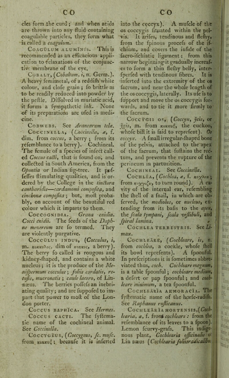 cles form the curd; and when acids are thrown into any fluid containing coagulable particles, they form what is called a coagulum. Coagulum aluminis. This is recommended as an efficacious appli- cation to Relaxations of the conjunc- tiv membrane of the eye. Cobalt, (Cobaltum, i, n. Germ.). A heavy femimetal, of a reddilh white colour, and clofe grain ; fo brittle as to be readily reduced into powder by the pcffclc. Difiolved in muriatic acid, it forms a fymp^thetic ink. None of its preparations are ufed in medi- cine. Cobwebs. See Aranearum tela. Coccinella, (Coccinella, a, f. dim. from coccusy a berry ; from its refemblance to a berry). Cochineal. The female of a fpecies of infect call- ed Coccus cactiy that is found on'y and collected in South America, from the Opuntia or Indian tig-tree. It pjuf- fefles ftimulating qualities, and is or- dered by the College in the tinftura cantharidis—cardamom's compofita> and cinchona compofita ; but, molt proba- bly, on account of the beautiful red colour which it imparts to them. Coccognidia.. Grana -cnidia. Cocci cnidii. The feeds of the Daph- ne mezereum are fo termed. They are violently purgative. CoCCULUS INDUS, (CoCCulllSy if m. itoy.Mv7.ocy dim of xoxxoc, a berry). The berry fo called is rougous and kidney-fhaped, and contains a white nucleus; it is the produce of the Me- nifpermum cocculus ; folds c or dads y re- tujisy mucronatis ; caule laceroy of Lin- naeus. The berries poflefs an inebri- ating quality; and arc fuppofed to im- part that power to molt of the Lon- don porter. Coccus baphica. See Hermes. Coccus cacti. The fyftema- tic name of the cochineal animal. See Coccinella. Coccygeus, (Coccygeusy fc. mufc. from xoxxvc,; beeaufe it is inferted into the coccyx). A mufcle of the os coccygis titrated within the pel- vis. It arifes, tendinous and flefhy, from the fpinous procefs of the if- chium, and covers the infide of the facro-ifchiatic ligament: from this narrow beginningitgradually increaf- es to form a thin flethy belly, inter- fperfed with tendinous fibres. It is inferted into the extremity of the os facrum, and near the whole length of the os coccygis, laterally. Its ufe is to fu’pport and move the os coccygis for- wards, and to tie it more firmly to the facrum. Coccygis os, (Coccyx9 ycist or ygisy m. from xoxxvthe cuckoo, whofe bill it is faid to reprefent). Os coccyx. A fmall irregular-fliaped bone of the pelvis, attached to the'apex of the facrum, that fuilains the rec- tum, and prevents the rupture of the perineum in parturition. Cochineal. See Coccinella. Cochlea, (Cochlea, a, f. xo^Xsa ; from X'yyryd(>c,:, to turn round). A ca- vity of the internal ear, refembling the thell of a fnail, in which are ob- ferved, the modiolus, or nucleus, ex- tending from its bafis to the apexy the fcala tympani, fcala vejlibuliy and fpiral lamina. * ' , Cochlea terrestris. Sec Li- max. Cochleare, (Cochleare, is, n. from cochlea, a cockle, whofe thell its bowl reprefents). A fpoonful. In prefcriptions it is fometimes abbre- viated thus, coch. Cochleare magnum, is a table fpoonful ; cochleare medium, , a defert or pap fpoonful; and coch- leare minimum, a tea fpoonful. Cochlear! a armor a ci a. The fyftematic name of the horfe-radifh. See liaphanus rufficanus. Cockle aria hor tensis,(6V^- learia, ay f. front cochleare : from the refemblance of its leaves to a fpoon). Lemon fcurvy-grafs. This indige- nous plant, Cochlearia officinalis o! Lin n38us (Cochlearia foliisradicalihu. i