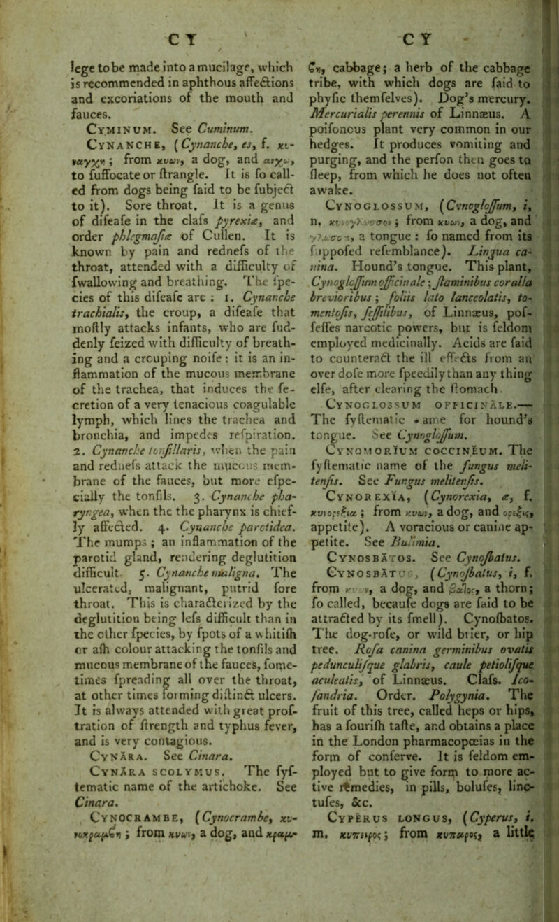 lege to be made into a mucilage, which is recommended in aphthous afTe&ions and excoriations of the mouth and fauces. Cyminum. See Cuminum. Cynanche, [Cynanche, es, f. *t- twyyy\ \ from xvui, a dog, and at%u:, to fuffocate or ftrangle. It is fo call- ed from dogs being faid to be fubjeCt to it). Sore throat. It is a genus of difeafe in the clafs pyrexia, and order phlegmafia of Cullen. It is known by pain and rednefs of the throat, attended with a difficulty of {wallowing and breathing. The fpe- cies of this difeafe are : i. Cynanche trachialis, the croup, a difeafe that moftly attacks infants, who are fud- denly feized with difficulty of breath- ing and a crcuping noife: it is an in- flammation of the mucous membrane of the trachea, that induces the fe- cretion of a very tenacious coagulable lymph, which lines the trachea and bronchia, and impedes refpiration. 2. Cynanche totifillaris, when the pain and rednefs attack the mucous mem- brane of the fauces, but more efpe- cially the tonfds. 3. Cynanche pha- ryngea, when the the pharynx is chief- ly affcCbed. 4. Cynanche parctidea. The mumps ; an inflammation of the parotid gland, rendering deglutition difficult 5. Cynanchenxuligna. The ulcerated, malignant, putrid fore throat. This is characterized by the deglutition being lefs difficult than in the other fpecies, by fpots of a whitiffi cr alh colour attacking the tonfils and mucous membrane of the fauces, forne- times fpreading all over the throat, at other times forming didinCt ulcers. It is always attended with great prof- tration of ftrength and typhus fever, and is very contagious. CynAra. See Cinara. CynAra scolyhus, The fyf- tematic name of the artichoke. See Cinara. C'y nocram BE, ( Cy no cram be, xu- 6r, cabbage; a herb of the cabbage tribe, with which dogs are faid to phyfic themfelves). Dog’s mercury. Mercurialis perennis of Linnaeus. A poifoncus plant very common in our hedges. It produces vomiting and purging, and the perfon then goes to fleep, from which he does not often awake. Cynoglossum, (Cvncglo/fum, i, n. xtv'.ybvccrov ; from kvu-,) a dog, and yy.c.ac-'.j a tongue : fo named from its f.ippofed reftmblance). Lingua ca~ nina. Hound’s tongue. This plant, Cynoglcjfmn ojfcinalc; Jlaminibus corolla Irtvioribus ; foiiis lato lanceolatis, fo- ment q/is, fejftiibus, of Linnaeus, pof- feffes narcotic powers, but is feldom employed medicinally. Acids are faid to counteract the ill effects from an over dofc more fpeedily than any thing elfe, after clearing the flomach Cynoglossum officinale.— The fyHematic • ame for hound’s tongue. See Cynnglojfum. CynomorIum coccineum. The fyftematic name of the fungus meli- tenjis. See Fungus melilerjis. Cynorexia, (Cynorexia, a, f. xvuif'&cc; from uvui, a dog, and appetite). A voracious or canine ap- petite. See Bulimia. Cynosbatos. See Cynojbaius. CynosbAtu , (Cynojbaius, i, f. from rv v, a dog, and a thorn; fo called, becaufe dogs are faid to be attracted by its fmell). Cynoffiatos. The dog-rofe, or wild brier, or hip tree. Rofa canina germinibus ovatis pedunculi/que glabris, caule petiolifque aculeatis, of Linnaeus. Clafs. /co- fandria. Order. Polygynia. The fruit of this tree, called heps or hips, has a fouriffi tafte, and obtains a place in the London pharmacopoeias in the form of conferve. It is feldom em- ployed but to give form to more ac- tive remedies, in pills, bolufes, linc- tufes, See. Cyperus long us, (Cypervs, i.