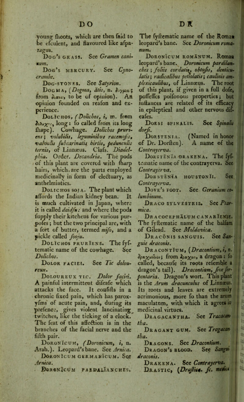 young' {hoots, which are then faid to be efculent, and flavoured like afpa- ragus. Doc's grass. See Grasnen cant- num. Dog’s mercury. See Cyno- crambe. Dog-stones. See Satyrion. Dogma, (Dogma, aits, n. from to be of opinion). An opinion founded on reafon and ex- perience. Dolichos, (Dolichos, i, m. from long: fo called from its long Ihape). Cowhage. Dolichos pruri- ent ; volubilis, leguminibu s racemofs, valvulis fubcarinat'iSf hirtis, pedunculis ternis, of Linnaeus. Clafs. D'tadel- phia. Order. Decandria. The pods of this plant are covered with (harp hairs, which, are the parts employed medicinally in form of electuary, as anthelmintics. Doli c hos soj a. The plant which affords the Indian kidney bean. It is much cultivated in Japan, where it is called daidfu: and where the pods fupply their kitchens for various pur- pofes ; but the two principal are, with a fort of butter, termed mifo, and a pickle called fooju. Dolichos pruriens. The fyf- tematic name of the cowhage. See Dolichos. Dolor faciei. See Tic dolou- reux. Doloureux tic. Dolor faciei. A painful intermittent difeafe which attacks the face. It confifts in a chronic fixed pain, which has parox- yfms of acute pain, and, during its prefence, gives violent lancinating twitches, like the ticking of a clock. The feat of this affe&ion is in the branches of the facial nerve and the fifth pair. Doronicum, (Doronicum, /, n. Arab.). Leopard’s bane. See Arnica. DORONICUM GERMAN1CUM. See Arnica. The fyftcmatic name of the Roma* leopard’s bane. See Doronicum roma- num. Doronicum romanum. Romas leopard’s bane. Doronicum pardilan- ches ; folds cordatis, ohtufis, denticu- latis; radicalibus petiolatis; caulinis am- plexicaulibus, of Linnaeus. The root of this plant, if given in a full dofe, pofTefTes poifonous properties; but intlances are related of its efficacy in epileptical and other nervous dif- eafes. Dor si spinalis. See Spinalis dorfi. Dors tenia. (Named in honor of Dr. Dorflen). A name of the Contrayerva. DorstenIadrakena. The fyf- tcmatic name of the contrayerva. See Contrayerva. DoKSTENiA HOUSTONIi. See Contrayerva. Dove’s foot. See Geranium co• lumbinum. Draco sylvestris. See Ptar~ mica. Dr acocephalum canarIeNse. The fyltematic name of the balfam of Gilead. See Moldavica. Draconis sanguis. Sec San- guie draconis. Dracontjum, {Dracontium, i, n. fyac%uthov} from ;, a dragon: fo called, becaufe its roots refemble a dragon’s tail). Dracontium, five Jer- pentaria. Dragon’s wort. This plant is the Arum dracunculus of Linnaeus. Its roots and leaves are extremely acrimonious, more fo than the arum maculatnm, with which it agrees in medicinal virtues. Dragacantha. See Tracacan■ tha. Dr a gant gum. See Tragacan tha. Dragons. See Dracontium. Dragon’s blood. See Sangui draconis. Drakena. See Contrayerva. J ^ , fc h