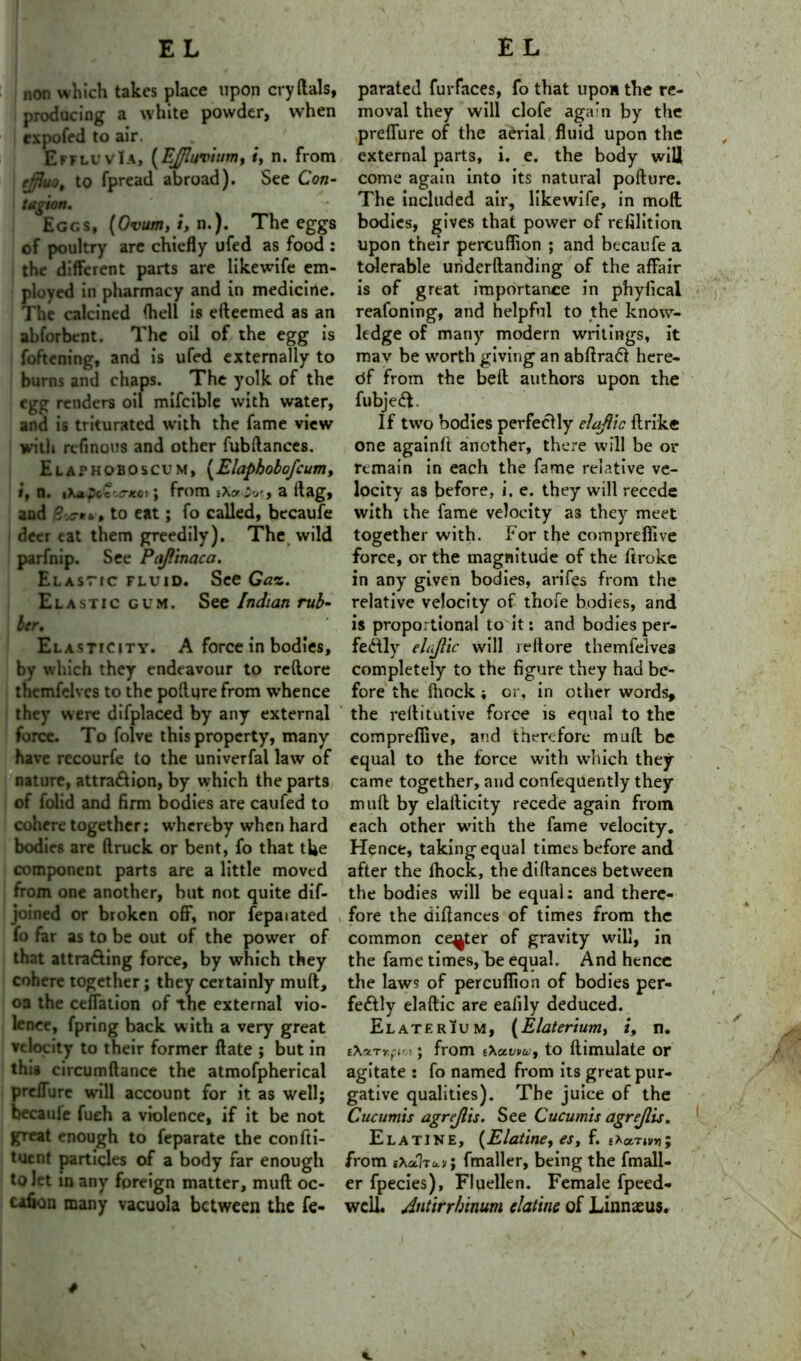 non which takes place upon cry dais, producing a white powder, when cxpofed to air. EffluvIa, [Effluvium, i, n. from effluo, to fpread abroad). See Con- tug ion. Eggs, [Ovum, i, n.). The eggs of poultry are chiefly ufed as food : the different parts are likewife em- ployed in pharmacy and in medicine. The calcined (hell is efteemed as an abforbent. The oil of the egg is foftening, and is ufed externally to burns and chaps. The yolk of the egg renders oil mifcible with water, and is triturated with the fame view with rcfinous and other fubftances. Elathoboscum, (Elaphobofcum, i, n. thapccskqi \ from a flag, and » to eat; fo called, becaufe deer eat them greedily). The wild parfnip. See Pajlinaca. Elastic fluid. See Gaz. Elastic gum. See Indian rub- ber. Elasticity. A force in bodies, by which they endeavour to reftore thcmfelvcs to the poftqre from whence they were difplaced by any external force. To folve this property, many have recourfe to the univerfal law of nature, attraction, by which the parts of folid and firm bodies are caufed to cohere together; whereby when hard bodies are {truck or bent, fo that the component parts are a little moved from one another, but not quite dif- joined or broken off, nor fepaiated fo far as to be out of the power of that attracting force, by which they cohere together; they certainly muft, oa the ceflation of tne external vio- lence, fpring back with a very great velocity to their former ftate ; but in thia circumftance the atmofpherical prefTure will account for it as well; becaule fueh a violence, if it be not great enough to feparate the confti- tuent particles of a body far enough to let in any foreign matter, muft oc- cafion many vacuola between the fe- parated furfaces, fo that upon the re- moval they will clofe again by the prefTure of the aerial fluid upon the external parts, i. e. the body will come again into its natural pofture. The included air, likewife, in mod bodies, gives that power of refilition. upon their percuflion ; and btcaufe a tolerable underftanding of the affair is of great importance in phyfical reafoning, and helpful to the know- ledge of many modern writings, it mav be worth giving an abfiraCt here- of from the beft authors upon the fubjeCT. If two bodies perfectly elaftic flrike one againlt another, there will be or remain in each the fame relative ve- locity as before, i. e. they will recede with the fame velocity as they meet together with. For the comprefiive force, or the magnitude of the ftroke in any given bodies, arifes from the relative velocity of thofe bodies, and is proportional to it: and bodies per- fectly elijlic will reftore themfelves completely to the figure they had be- fore the lhock ; or, in other words, the reftitutive force is equal to the comprefiive, and therefore muft be equal to the force with which they came together, and confequently they mull by elafticity recede again from each other with the fame velocity. Hence, taking equal times before and after the lhock, thediftances between the bodies will be equal; and there- fore the difiances of times from the common center of gravity will, in the fame times, be equal. And hence the laws of percuflion of bodies per- fectly elaftic are eafily deduced. Elaterium, (Elaterium, /, n. t\vrr,fv,\; from iXavva, to ftimulate or agitate ; fo named from its great pur- gative qualities). The juice of the Cucumis agrejlis. See Cucumis agrejlis. Elatine, (Elatine, es, f. from iXalrby; fmaller, being the fmall- er fpecies), Fluellen. Female fpeed- wcll. Antirrhinum elatine of Linnaeus.