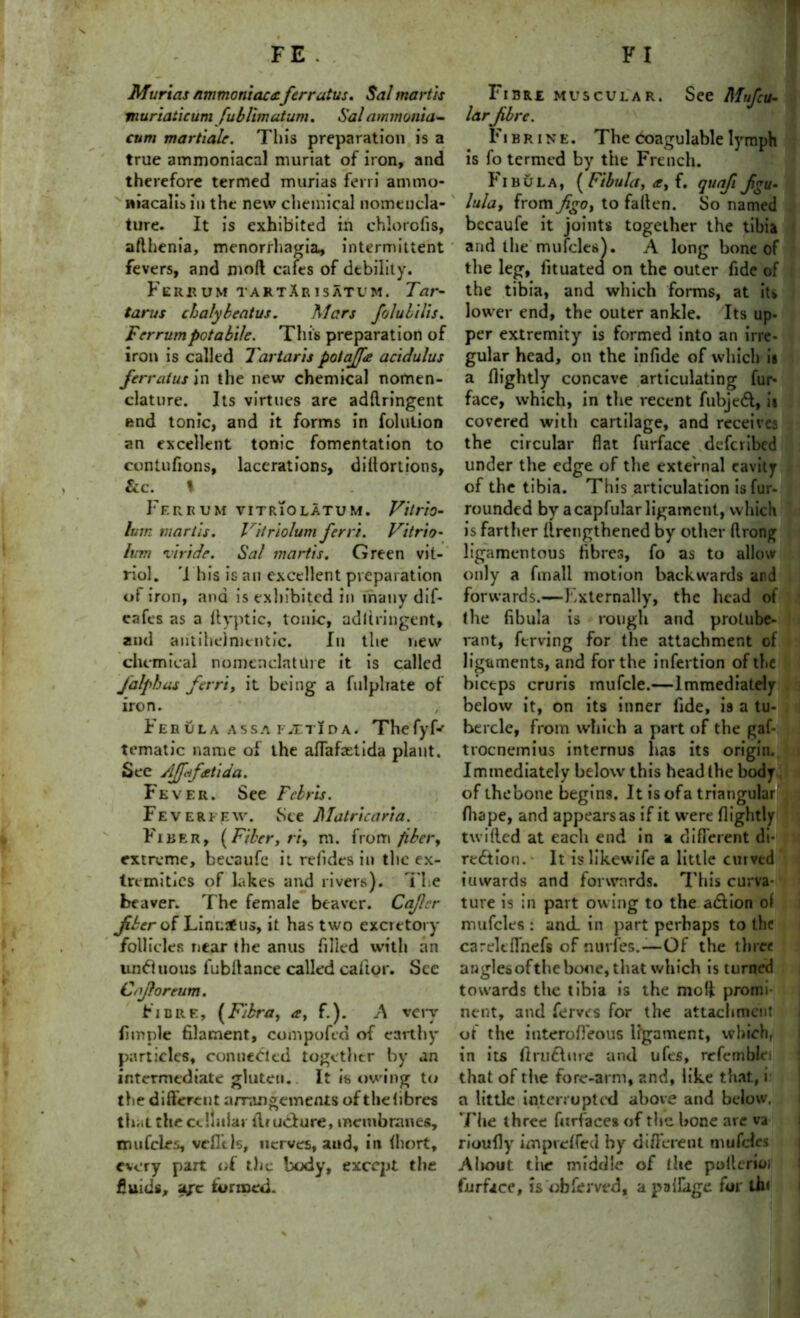 Murias nmmoniaccferrutus. Sal martis muriatic umfublim at um. Sal ammonia- cum martiale. This preparation is a true ammoniacal muriat of iron, and therefore termed murias fern ammo* macalia in the new chemical nomencla- ture. It is exhibited in chlorofis, aflhenia, menorrhagia, intermittent fevers, and nioft cafes of debility. Fereum tartAr is atum. Tar- tarus chalybeatus. Mars folubilis. Ferrumpotabile. This preparation of iron is called Tartaris potajfa acidulus ferrutus in the new chemical nomen- clature. Its virtues are adftringent end tonic, and it forms in folution an excellent tonic fomentation to contufions, lacerations, dillortions, &c. I Fereum vitriolatum. Vitrio- lum martis. I itriolum ferri. V'ttrio- lirm viride. Sal martis. Green vit- riol. 1 his is an excellent preparation of iron, and is exhibited in many dif- cafes as a (lyptic, tonic, adllringent, and antiheinientic. In the new chemical nomenclature it is called /alphas ferri, it being a fnlphate of iron. Ferula assa f£tIda. Thefyfr tematic name of the affafastida plant. See Ajfiif&tida. Fever. See Febris. Feveri f.w. See Matricaria. Fiber, (Fiber, rt, m. from fiber, extreme, becaufc it reiides in the ex- tremities of lakes and rivers). The beaver. The female beaver. Cajlcr fiber of Linnaeus, it has two excretory follicles near the anus filled with an unduo us fubilance called caftor. See Cnjboreum. Fibre, (Fibra, a, f.). A very fimple filament, compofed of earthy particles, connected together by an intermediate gluten. It is owing to the different arrangements of thelibres that the cchuiar ilruclure, membranes, mufcles, vcfftls, nerves, and, in (hort, every part of the body, except the £uids, u/c termed. Fibre muscular. See Mufcu- larfire. Fi brine. The coagulable lymph is fo termed by the French. Fibula, (Fibula, a, f. quafi fgu- lula, from figo, to fallen. So named becaufe it joints together the tibia and the mufcles). A long bone of the leg, lituated on the outer fide of the tibia, and which forms, at its lower end, the outer ankle. Its up. per extremity is formed into an irre- gular head, on the infide of which it a (lightly concave articulating fur- face, which, in the recent fubjeCl, it covered with cartilage, and receives the circular flat furface deferibed under the edge of the external cavity of the tibia. This articulation is fur- rounded by a capfular ligament, which is farther (Lengthened by other ftrong ligamentous fibres, fo as to allow only a fmall motion backwards and forwards.—Externally, the head of (he fibula is rough and protube- rant, ferving for the attachment of ligaments, and for the infertion of the biceps cruris inufcle.—Immediately below it, on its inner fide, i9 a tu- bercle, from which a part of the gaf- trocnemius internus has its origin. Immediately below this headlhe body of thebone begins. It is ofa triangular fhape, and appears as if it were (lightly twifled at each end in a different di- rection. It islikewife a little cuivtd inwards and forwards. This curva- ture is in part owing to the aCIion oi mufcles : and_ in part perhaps to the careltflnefs of nurfes.—Of the three anglesofthe bone, that which is turned towards the tibia is the molt promi- nent, and ferves for the attachment of the interoffeous ligament, which, in its flruClurc and ufes, refemblei that of the fore-arm, and, like that, i a little interrupted above and below. The three fitrfaces of the hone are va rioufly impreffecl hy different mufcles Aliout the middle of (lie pollerioi furface, is obferved, a paffage for (In