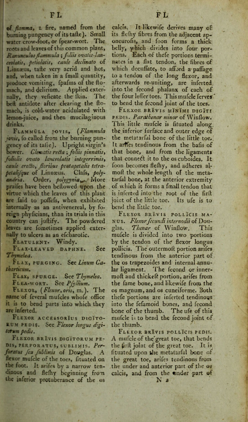 ef fiamma, z fire, named from the burning pungency of its tafte). Small water crow-foot, or fpear-wort. The roots and leaves of this common plant, RanunculusJiammula ; fuliis ovatis-lan- c col at is, pctiolatis, cauls declinato of Linnaeus, tafte very acrid and hot, and, when taken in a fmall quantity, pioduce vomiting, fpafms of the llo- inach, and delirium. Applied exter- nally, they veficate the lkin. The beft antidote after clearing the fto- mach, is cold-water acidulated with lemon-juice, and then mucilaginous drinks. Flammula jo vis, (Flammula jovis, fo called from the burning pun- gency of its talie). Upright virgin’s bower. Clematis reda ; fcliis pinnatis, foliolis ovato lanceolatis integerrimis, cauls credo, floribus p cnt ape t alts tetra- petalijque of Linnaeus. Clafs, poly- andria. Order, polygynia^.,' More praifes have been bellowed upon the virtue which the leaves of this plant are laid to poffefs, when exhibited internally as an antivenereal, by fo- reign phyficians, than its trials in this country can juftify. The powdered leaves are fometimes applied exter- nally to ulcers as an efcharotic. Flatulent. Windy. Flax-leaved daphne. See ThymcUd. Flax, purging. See Linum Ca- tharticum. Flax, spurge. See Thymelea. Flea-wort. See PfyIlium. Flexor, (Flexor, oris, m.). The name of feveral mufcles whofe office it is to bend parts into which they arc inferted. Fl EXOR ACCESSORIUS DIG1TO- U’.m pedis. See Flexor lon^us difi- f. s> s> totum pedis. Fl EXOR BREVIS DIG ITORU M PE- DIS, perforates, sublimis. Per- forate feu fublimis of Douglas. A flexor mufcle of the toes, fituated on the foot. It arifes by a narrow ten- dinous and flefhy beginning from calds. It like wife derives many of its flefhy fibres from the adjacent ap- oneurofis, and foon forms a thick belly, yffiich divides into four por- tions. Each of thefe portions termi- nates in a flat tendon, the fibres of which decuffate, to afford a paffage to a tendon of the long flexor, and afterwards re-uniting, are inferted into the fecond phalanx of each of the four leffer toes. This mufcle ferves' to bend the fecond joint of the toes. Flexor brevis minimi digiti pedis. Parathenar minor of Window. This little mufcle is fituated along, the inferior Turface and outer edge of the metatarfal bone of the little toe. It arffes tendinous from the bails of that bone, and from the ligaments that connect it to the os cuboides. It foon becomes flefhy, and adheres al- mofl the whole length of the meta- tarfal bone, at the anterior extremity of which it forms a fmall tendon that is inferted into the root of the firft; joint of the little toe. Its ufe is to bend the little toe. Flexor brevis pollicis ma- N u s. Flexorfccundi internodii of Dou- glas. Thenar of Window. This mufcle is divided into two portions by the tendon of the flexor longus pollicis. The outermofi: portion arifes tendinous from the anterior part of the os trapezoides and internal annu- lar ligament. The fecond or inner- rnoft and thickeft portion, arifes from the fame bone, and likewife from the os magnum, and os cuneiforme. Both thefe portions are inferted tendinous into the fefamoid bones, and fecond bone of the thumb. The ufe of this mufcle is to bend the fecond joint of the thumb. Flexor brevis pollicts pedis. A mufcle of the'great toe, that bends the £rft joint of the great toe. It if fituated upon the metatarfal bone of the great toe, arifes tendinous from the under and anterior part of the os» calcis, and from the tinder part of