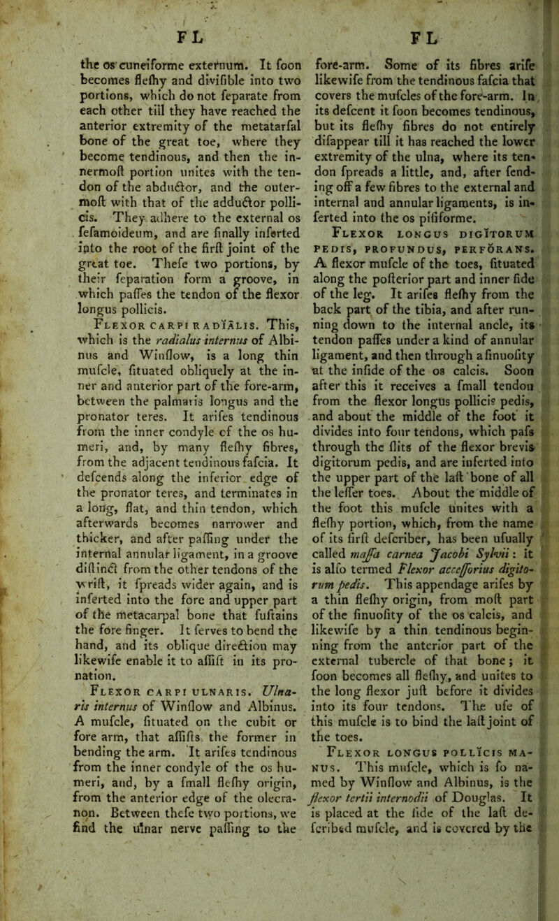 the os cuneiforme externum. It foon becomes flefhy and divifible into two portions, which do not feparate from each other till they have reached the anterior extremity of the metatarfal bone of the great toe, where they become tendinous, and then the in- nermoft portion unites with the ten- don of the abdu&or, and the outer- moft with that of the addu&or polli- cis. They adhere to the external os fefamoideum, and are finally inferted ipto the root of the firft joint of the grtat toe. Thefe two portions, by their reparation form a groove, in which paffes the tendon of the flexor longus pollicis. Flexor carpi r adialis. This, which is the radialus internus of Albi- nas and Window, is a long thin mufcle, fituated obliquely at the in- ner and anterior part of the fore-arm, between the palmaris longus and the pronator teres. It arifes tendinous from the inner condyle cf the os hu- meri, and, by many flefhy fibres, from the adjacent tendinous fafcia. It defcends along the inferior edge of the pronator teres, and terminates in a long, flat, and thin tendon, which afterwards becomes narrower and thicker, and after pafling under the internal annular ligament, in a groove diftinci from the other tendons of the wrift, it fpreads wider again, and is inferted into the fore and upper part of the metacarpal bone that fultains the fore finger. It ferves to bend the hand, and its oblique direction may likewife enable it to afiift in its pro- nation. Flexor carpi ulnaris. Ulna- ris internus of Window and Albinus. A mufcle, fituated on the cubit or fore arm, that affifts the former in bending the arm. It arifes tendinous from the inner condyle of the os hu- meri, and, by a fmall flefhy origin, from the anterior edge of the olecra- non. Between thefe tvvo portions, we find the ulnar nerve palling to the fore-arm. Some of its fibres arife likewife from the tendinous fafcia that covers the mufcles of the fore-arm. In its defeent it foon becomes tendinous, but its flefhy fibres do not entirely difappear till it ha3 reached the lower extremity of the ulna, where its ten- don fpreads a little, and, after fend- ing off a few fibres to the external and internal and annular ligaments, is in- ferted into the os pififorme. Flexor longus digitorum PEDIS, PROFUNDUS, PERFORANS. A flexor mufcle of the toes, fituated along the pofterior part and inner fide of the leg. It arifes flefhy from the back part of the tibia, and after run- ning down to the internal ancle, its tendon paffes under a kind of annular ligament, and then through afinuolity at the infide of the os calcis. Soon after this it receives a fmall tendon from the flexor longus pollicis pedis, and about the middle of the foot it divides into four tendons, which pafs through the flits of the flexor brevis* digitorum pedis, and are inferted into the upper part of the laft bone of all the leffer toes. About the middle of the foot this mufcle Unites with a flefhy portion, which, from the name of its firft deferiber, has been ufually called majfa carnea Jacobi Sylvii: it is alfo termed Flexor acc.efjorius digito- rum pedis. This appendage arifes by a thin flefhy origin, from mod part of the finuofity of the os calcis, and likewife by a thin tendinous begin- ning from the anterior part of the external tubercle of that bone; it foon becomes all flefhy, and unites to the long flexor juft before it divides into its four tendons. The ufe of this mufcle is to bind the laft joint of the toes. Flexor longus pollicis ma- nus. This mufcle, which is fo na- med by Window and Albinus, is the flexor tcrti'i internodii of Douglas. It is placed at the fide of the laft de- ferred mufcle, and is covered by the