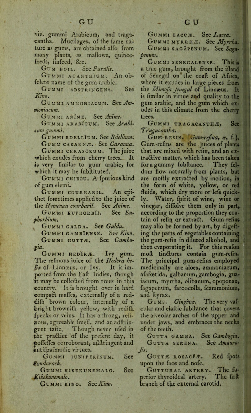 1 * GU viz. gummi Arabicum, and traga- cantha. Mucilages, of the fame na- ture as gums, are obtained alfo from many plants, as mallows, quince- feeds, iinfeed, &c. Gum boil. See Partllis. G UM MI ACANTHIUM. All ob- fclete name of the gum arabic. Gummi adstringens. See Kino. Gummi amkoniacum. SeeAm- momacum. Gummi aNime. See Animc. Gummi arabicum. See Arabi- cum gummi. Gummi bdellIum. See Bdellium. Gumm carannas. S.ee Car anna. Gummi cerasorum. Thejuice which exudes from cherry trees. It is very limilar to gum arabic, for which it may be fubitituted. Gummi chieou. A fpuriouskind of gum elemi. Gummi courbaril. An epi- thet fometimes applied to the juice of the Hymenaa courbaril. See Anime. Gummi euphorbia See Eu- fhorhium. Gummi gal da. See Galda. Gummi gambiense. See Kino. Gummi gutt£. See Gambo- Gummi hederae. Ivy gum. The refinous juice of the Hedera he- lix of Linnaeus, or Ivy. It is im- ported from the Ead indies, though it may be colletled from trees in this country. It is brought over in hard compact mafTes, externally of a red- difh brown colour, internally of a bright brownifh yellow, with redilh fpecks or veins. It has a ftrong, refi- nous, agreeable fmell, and anaddrin- gent talle. Though never ufed in the pra&ice of the prefent day, it poflefles corroborant, addringent and pntifpafmodic virtues. Gummi juniperinum. See Sandarack. Gummi kikekunemalo. See Kikekunemalo. Gummi kIno. See Kino, GU Gummi laccae. See Lacen. Gummi myrrhs. See Myrrba. Gummi sagapenum. See Saga- penum. Gummi senegalense. Thisis a true gum, brought from the ifland of Senegal on ‘ the coad of Africa, where it exudes in large pieces from the Mimofa fenegal of Linnaeus. It is fimilar in virtue and quality to the gum arabic, and the gum which ex- udes in this climate from the cherry trees. See Gummi tragacanthje. Tragacantha. Gum-res in. ' Gum-re/irta, ee, f.). Gum-refins are the juices of plants that are mixed with relin, and an ex- tractive matter, which has been taken for a gummy fubdance. They fel- dom flow naturally from plants, but are mollly extracted by inciflon, in the form of white, yellow, or red fluids, which dry more or lefs quick- ly. Water, fpirit of wine, wine or vinegar, diflolve them only in part, according to the proportion they con- tain of refin or extraCL Gum-refins may alfo be formed by art, by digefl- ing the parts of vegetables containing the gum-refin in diluted alkohol, and then evaporating it. For this reafon mod tinClures contain gum-refin. The principal gum-refins employed medicinally are aloes, ammoniacum, afafeetida, galbanum, gambogia, gua- iacum, myrrha, olibanum, opoponax, fagapenum, farcocolla, fcammonium, and ftyrax. Gums. Gingi’va. The very vaf- cular and elaftic fubdance that qovevs the alveolar arches of the upper and under jaws, and embraces the necks of the teeth. Gutta gamba. See Gambogia. Gutta serena. See Amauro- fis. Gutta rosacea. Red fpots upon the face and nofe. Guttural artery. The fu- perior thyroideal artery. The firft branch of the external carotid.