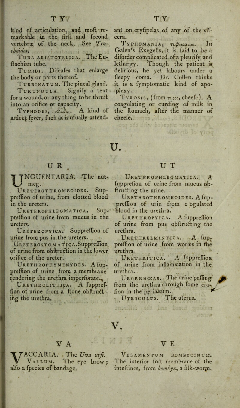 T Y. i kind of articulation, and mod re- markable in the fird and fecond vertebrae of the neck. See Tro- choicks, Tuba aristotelica. The Eu- ftachian tube. T umidi. Difeafes that enlarge the body or parts thereof. Turbinatum. The pineal gland. Turundula. Signify a tent for a wound, or any thing to be thrud into an orifice or capacity. Typhodes, tvQccSoc. A kind of arden^ fever, filch as is ufually attend- T Y ant on eryfipelas of any of the vif- cera. TyPHOMANIA, TvlpotAotvia. Ill Galen’s Exegefis, it is faid to be a diforder complicated of a pleurify and lethargy. Though the patient, is delirious, he yet labours under a fleepy coma. Dr. Cullen thinks it is a fymptomatic kind of apo- plexy. Ty r o s r s, (from Tupo<r> cheefe). A coagulating or curding of milk in the ftomach, after the manner of cheefe. U. U R 4 UNGUENTARLA. The nut- meg. Ur eterothromboides. Sup- predion of urine, from clotted blood in the ureters. Ureterophleg matica. Sup- predion of urine from mucus in the ureters. Ureterqpyica. Suppredion of urine from pus in the ureters. Ureterostom atica.Supprefiion of urine from obftrudtion in the lower orifice of the ureter. Urethrophymenydes. A fup- predion of urine from a membrane rendering the urethra imperforate.^ URETHROLITHIpA. A fuppref- don of urine from a done obdrud- ing the urethra. U T Urethrophlegmatica. A fupprefion of urine from mucus ob- ftrucfing the urine. U RET H ROT HROMBOIDES. A flip- predion of urin from c ogulated blood in the urethra. Urethropyica. A fuppredion of urine from pus obdnnfling the urethra. Urethrelmintica. A fup- predion of urine from worms in tbe urethra. Urethritica. A fuppredion of urine from inflammation in the urethra. Urorrhceas. The urine pading' from the urethra through fome ero- / fion in the pprimeum. ^ Utriculfs. The uterus. V. V A V ACC ARIA. . The Uva urji. Vallum. The eye brow; alfo a fpecies of bandage. V E Vel amentum bombycinum. The interior foft membrane of the intefiines, from bombyx, a filk-worfn.