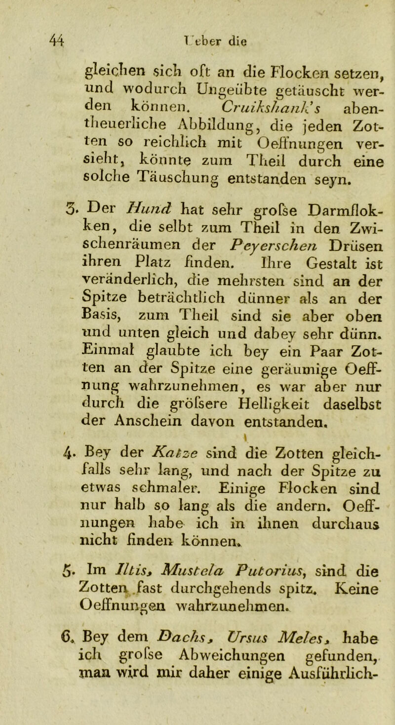 gleichen sich oft an die Flocken setzen, und wodurch Ungeübte getauscht wer- den können. Cruikshank’ s aben- teuerliche Abbildung, die jeden Zot- ten so reichlich mit (Dehnungen ver- sieht, könnte zum Theil durch eine solche Täuschung entstanden seyn. 3. Der Hund hat sehr grofse Darmfiok- ken, die selbt zum Theil in den Zwi- schenräumen der Peyerschen Drüsen ihren Platz finden. Ihre Gestalt ist veränderlich, die mehrsten sind an der Spitze beträchtlich dünner als an der Basis, zum Theil sind sie aber oben und unten gleich und dabey sehr dünn. Einmal glaubte ich bey ein Paar Zot- ten an der Spitze eine geräumige Oeh- nung wahrzunehmen, es war aber nur durch die gröfsere Helligkeit daselbst der Anschein davon entstanden. t 4* Bey der Katze sind die Zotten gleich- falls sehr lang, und nach der Spitze zu etwas schmaler. Einige Flocken sind nur halb so lang als die andern. (Deh- nungen habe ich in ihnen durchaus nicht finden können. 5. Im Iltis, Must ela Putorius, sind die Zotten fast durchgehends spitz. Keine (Dehnungen wahrzunehmen. 6, Bey dem Dachs, Ursus Meies, habe ich grofse Abweichungen gefunden, man wird mir daher einige Ausführlich-