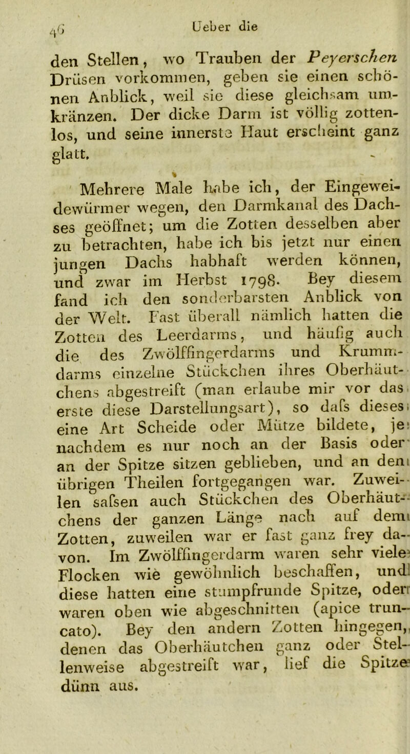 den Stellen, wo Trauben der Peyerschen Drüsen Vorkommen, geben sie einen schö- nen Anblick, weil sie diese gleichsam um- kränzen. Der dicke Dann ist völlig zotten- los, und seine innerste Haut erscheint ganz glatt. Mehrere Male habe ich, der Eingewei- dewürmer wegen, den Darmkanal des Dach- ses geöffnet; um die Zotten desselben aber zu betrachten, habe ich bis jetzt nur einen jungen Dachs habhaft werden können, und zwar im Herbst 1798. Bey diesem fand ich den sonderbarsten Anblick von der Welt. Fast überall nämlich hatten die Zotten des Leerdarms, und häufig auch die des Zwölffingerdarms und Krumm- darms einzelne Stückchen ihres Oberhäut- chens abgestreift (man erlaube mir vor das erste diese Darsteliungsart), so dafs dieses, eine Art Scheide oder Mütze bildete, je; nachdem es nur noch an der Basis oder an der Spitze sitzen geblieben, und an dem übrigen Theilen fortgegangen war. Zuwei- len safsen auch Stückchen des Oberhäut-- chens der ganzen Länge nach auf denn Zotten, zuweilen war er fast ganz frey da- von. Im Zwölffingerdarm waren sehr viele1 Flocken wie gewöhnlich beschaffen, und! diese hatten eine stumpfrunde Spitze, oderr waren oben wie abgeschnitten (apice trun- cato). Bey den andern Zotten hingegen,, denen das Oberhäutchen ganz oder Stel- lenweise abgestreift war, lief die Spitze? dünn aus.