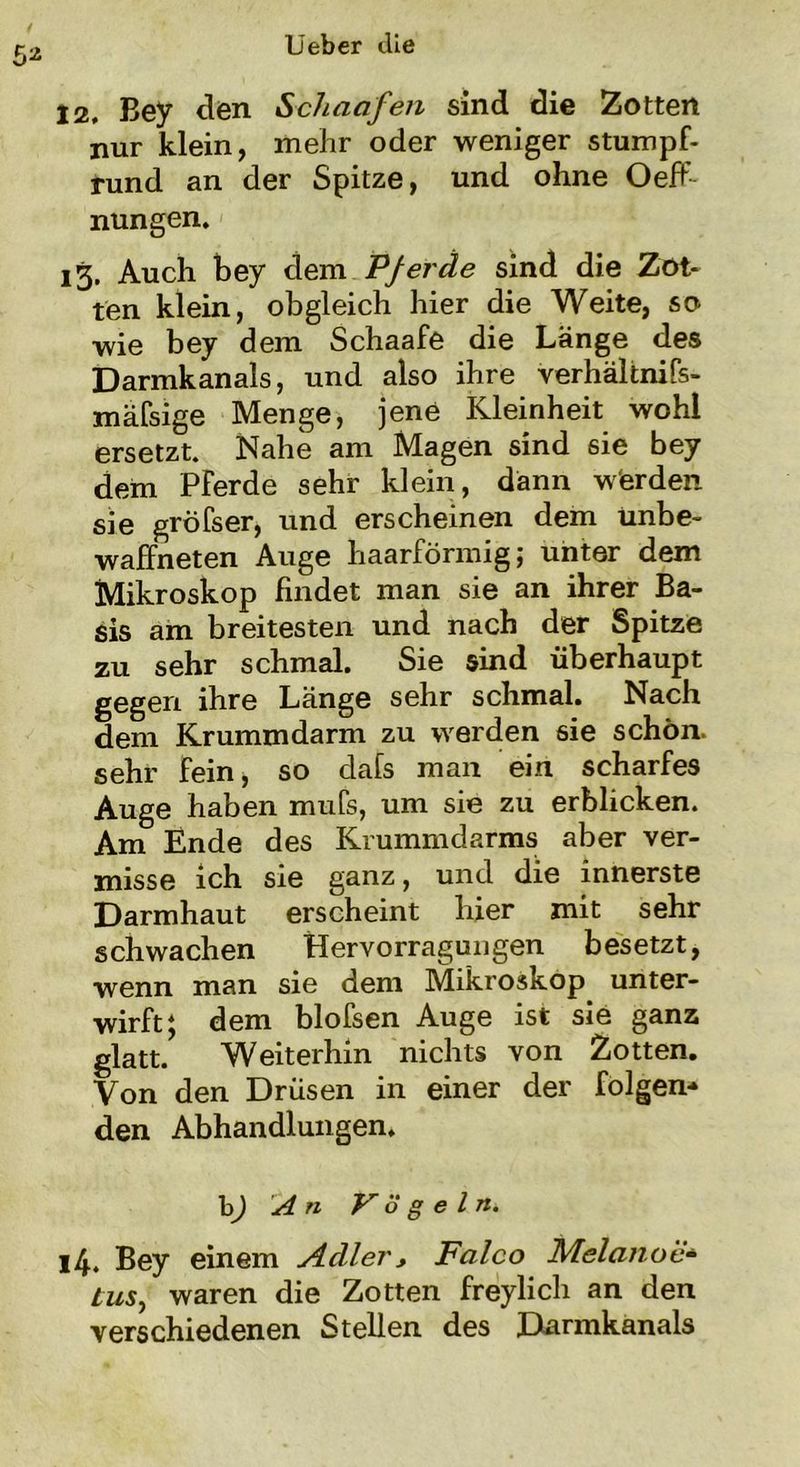 12. Bey den Schaufelt sind die Zotten nur klein, mehr oder weniger stumpf- rund an der Spitze, und ohne OefF nungen. 13. Auch bey dem Pferde sind die Zot- ten klein, obgleich hier die Weite, so wie bey dem Schaafe die Länge des Darmkanals, und also ihre verhältnifs- mäfsige Menge, jene Kleinheit wohl ersetzt. Nahe am Magen sind sie bey dem PFerde sehr klein, dann werden sie gröfser, und erscheinen dem unbe- waffneten Auge haarförmig; unter dem Mikroskop findet man sie an ihrer Ba- sis am breitesten und nach der Spitze zu sehr schmal. Sie sind überhaupt gegen ihre Länge sehr schmal. Nach dem Krummdarm zu werden sie schön, sehr fein, so dafs man ein scharfes Auge haben mufs, um sie zu erblicken. Am Ende des Krummdarms aber ver- misse ich sie ganz, und die innerste Darmhaut erscheint liier mit sehr schwachen Hervorragungen besetzt, wenn man sie dem Mikroskop unter- wirft; dem blofsen Auge ist sie ganz glatt. Weiterhin nichts von Zotten. Von den Drüsen in einer der folgen- den Abhandlungen. hj An Vögeln. 14. Bey einem Adler, Falco Melanoe'* tus, waren die Zotten freylich an den verschiedenen Stellen des Darmkanals