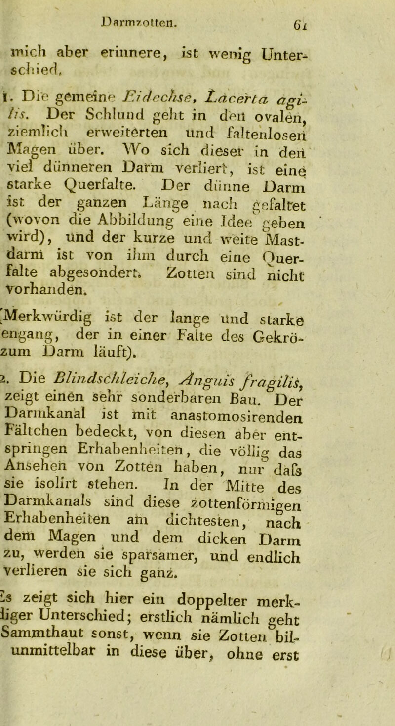 mich aber erinnere, ist wenig Untere schied, 1. Die gemeine Eidechse, Ldcerta agi- lis. Der Schlund geht in den ovalen, ziemlich erweiterten und faltenloseri Magen über. Wo sich dieser in deri viel dünneren Dann verliert, ist einö starke Querfalte. Der dünne Darm ist der ganzen Länge nach gefaltet (wovon die Abbildung eine Idee geben wird), und der kurze und weite Mast- darni ist von ihm durch eine (huer- falte abgesondert. Zotten sind nicht vorhanden. [Merkwürdig ist der lange und starke en-gang, der in einer Falte des Gekrö- zum Darm läuft). 2. Die Blindschleiche, singuis fragilis, zeigt einen sehr sonderbaren Bau. Der Darmkanal ist mit anastomosirenden Fältchen bedeckt, von diesen aber ent- springen Erhabenheiten, die völlig das Ansehen von Zotten haben, nur dafs sie isolirt stehen. In der Mitte des Darmkanals sind diese zottenförmigen Erhabenheiten am dichtesten, nach dem Magen und dem dicken Darm zu, werden sie sparsamer, und endlich verlieren sie sich ganz. Is zeigt sich hier ein doppelter merk- iiger Unterschied; erstlich nämlich geht Sammthaut sonst, wenn sie Zotten bil- unmittelbar in diese über, ohne erst