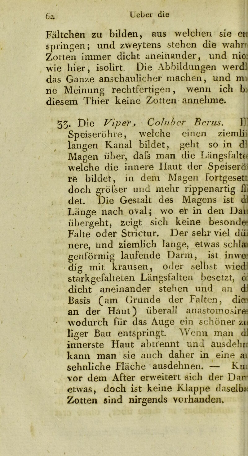 6a Fältchen zu bilden, aus welchen sie er- springen; und zweytens stehen die wahr Zotten immer dicht aneinander, und nicc wie hier, isolirt. Die Abbildungen werdl das Ganze anschaulicher machen, und mi ne Meinung rechtfertigen, wenn ich bj diesem Thier keine Zotten annehme. 53. Die Viper, Coluber Berus. IT Speiseröhre, welche einen ziemlii langen Kanal bildet, geht so in d Magen über, dafs man die Längsfalte welche die innere Haut der Speiserö re bildet, in dem Magen fortgesett: doch gröfser und mehr rippenartig ßi det. Die Gestalt des Magens ist dl Länge nach oval; wo er in den Dar übergeht, zeigt sich keine besonde Falte oder Strictur. Der sehr viel du. nere, und ziemlich lange, etwas schla. genförmig laufende Darm, ist inwe dig mit krausen, oder selbst wiedl starkgefalteten Längsfalten besetzt, di dicht aneinander stehen und an d Easis (am Grunde der Falten, die- an der Haut) überall anastomosire * wodurch für das Auge ein schöner ze liger Bau entspringt. Wenn man d! innerste Haut abtrennt und ausdehr kann man sie auch daher in eine a. sehnliche Fläche ausdehnen. — Ku vor dem After erweitert sich der Dar etwas, doch ist keine Klappe daselb; Zotten sind nirgends vorhanden.