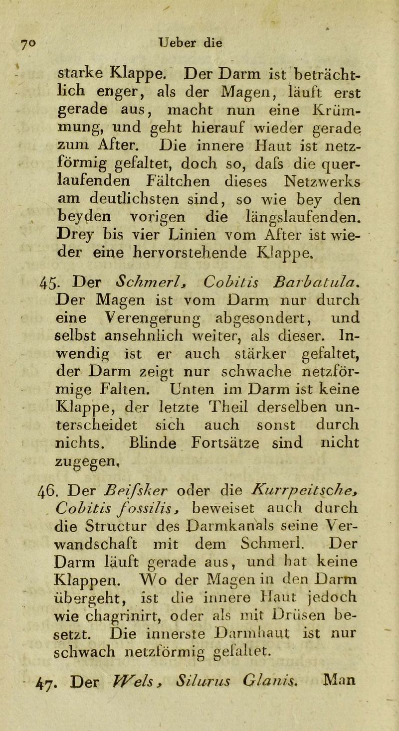 7° starke Klappe. Der Darm ist beträcht- lich enger, als der Magen, läuft erst gerade aus, macht nun eine Krüm- mung, und geht hierauf wieder gerade zum After. Die innere Haut ist netz- förmig gefaltet, doch so, dafs die quer- laufenden Fältchen dieses Netzwerks am deutlichsten sind, so wie bey den beyden vorigen die längslaufenden. Drey bis vier Linien vom After ist wie- der eine hervorstehende Klappe. 45- Der Schm er l, Cohilis Barhatula. Der Magen ist vom Darm nur durch eine Verengerung abgesondert, und selbst ansehnlich weiter, als dieser. In- wendig ist er auch stärker gefaltet, der Darm zeigt nur schwache netzför- mige Falten. Unten im Darm ist keine Klappe, der letzte Theil derselben un- terscheidet sich auch sonst durch nichts. Blinde Fortsätze sind nicht zugegen, 46. Der Beifsker oder die Kurrpeitsche, Cobitis fossilis, beweiset auch durch die Structur des Darmkanals seine Ver- wandschaft mit dem Schmerl. Der Darm läuft gerade aus, und hat keine Klappen. Wo der Magen in den Darm übergeht, ist die innere Haut jedoch wie chagrinirt, oder als mit Drüsen be- setzt. Die innerste Darmhaut ist nur schwach netzförmig gelaliet. 47. Der kV eh, Silurus Glanis. Man