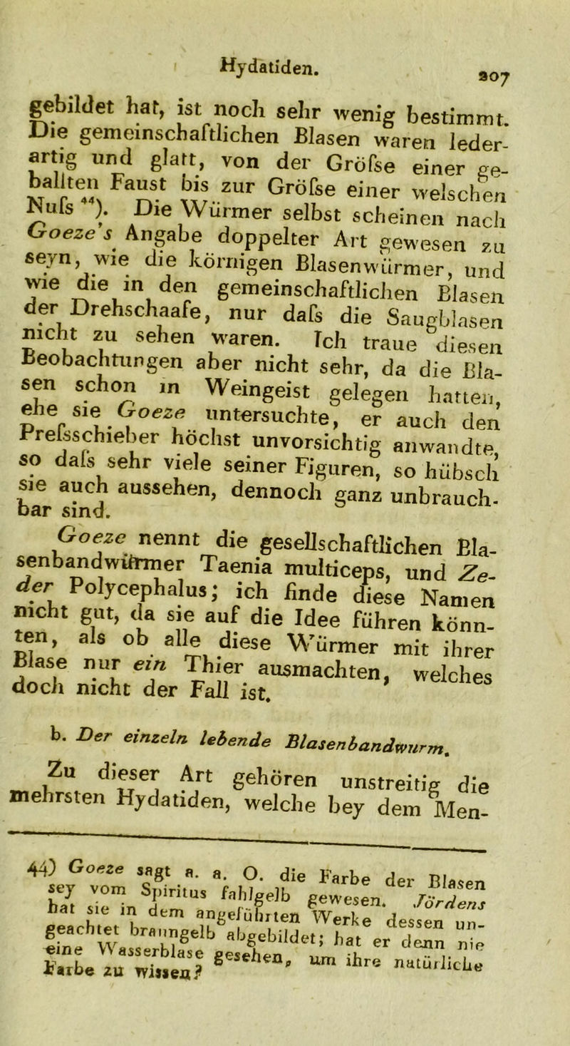 gebildet hat, ist noch sehr wenig bestimmt. Uie gemeinschaftlichen Blasen waren Jeder artig und glatt, von der Gröfse einer ^ FaSt ^.zur Grö^ einer welschen Nufs ). Die Würmer selbst scheinen nach Croeze j Angabe doppelter Art gewesen zu seyn wie die körnigen Blasenwürmer, und wie die in den gemeinschaftlichen Blasen der Drehschaafe, nur dafs die Saugblasen nicht zu sehen waren. Ich traue diesen Beobachtungen aber nicht sehr, da die Bla- sen schon in Weingeist gelegen hatten, ehe sie untersuchte, er auch den Preisschieber höchst unvorsichtig an wandte so dals sehr viele seiner Figuren, so hübsch ®r si*nd aUSSehen> deimodl ganz unbrauch- Goezc nennt die gesellschaftlichen Bla- senbandwdrmer Taenia multiceps, und der Polycephalus; ich finde diese Namen nicht gut, da sie auf die Idee führen könn- ten, als ob alle diese Würmer mit ihrer Blase nur ein Thier ausmachten, welches doch nicht der Fall ist. b. Der einzeln lebende Blasenbandwurm. Zu dieser Art gehören unstreitig die mehrsten Hydatiden, welche bey dem Men- 44) Goeze sagt a. «. o. die Farbe der Blasen ÄÄr Tr r Farbe zu Tvi,sea? 6 ' Um lhre natu,Jlch«