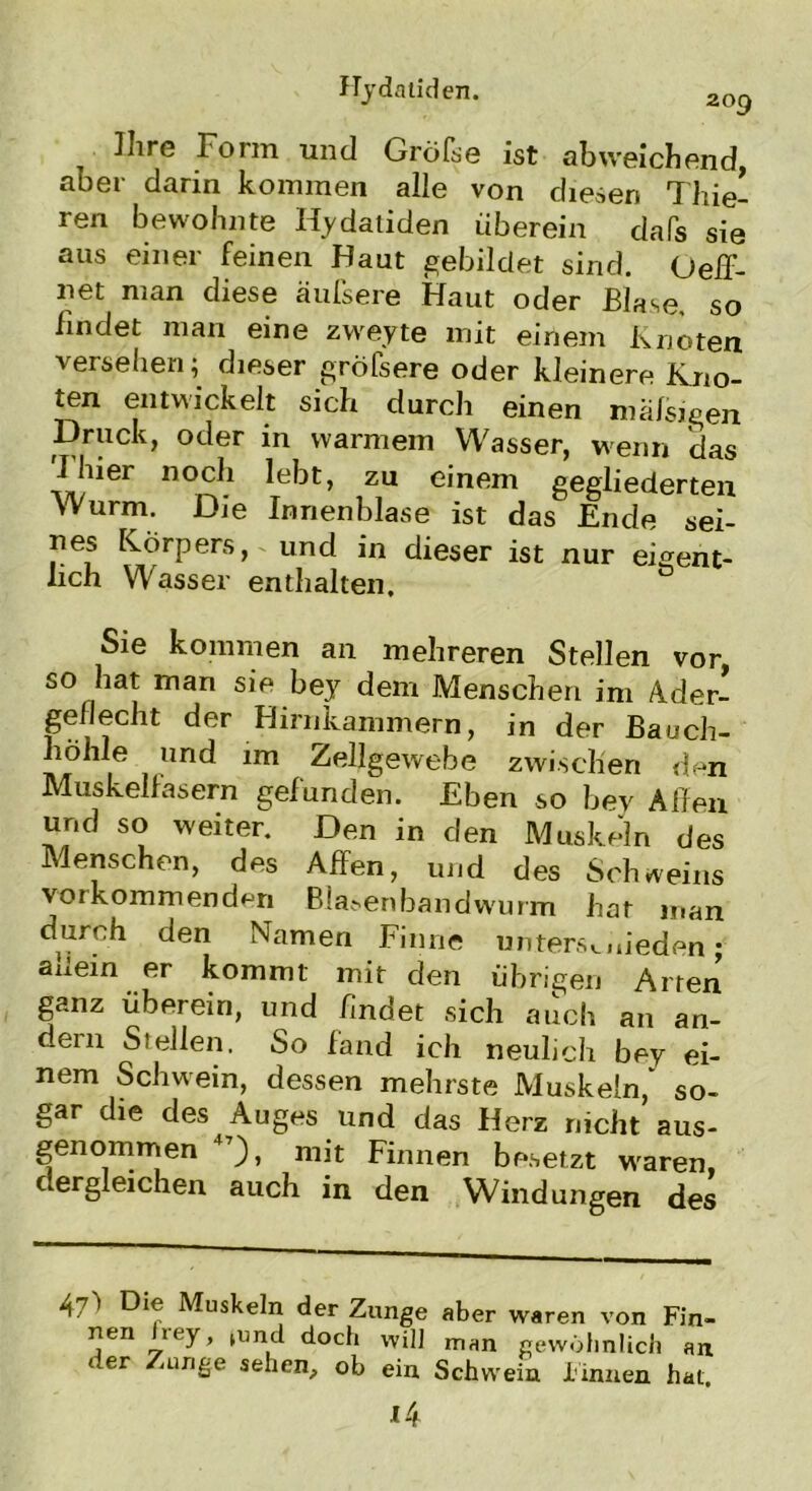Ihre Form und Gröfse ist abweichend, aber darin kommen alle von diesen Thie- ren bewohnte Hydatiden überein dafs sie aus einer feinen Haut gebildet sind. Oeff- net man diese äufsere Haut oder Blase, so findet man eine zweyte mit einem Knoten versehen; dieser gröfsere oder kleinere Kno- ten entwickelt sich durch einen malsigen Druck, oder in warmem Wasser, wenn das I hier noch lebt, zu einem gegliederten Wurm. Die Innenblase ist das Ende sei- nes Körpers, und in dieser ist nur eigent- lich Wasser enthalten. Sie kommen an mehreren Stellen vor, so hat man sie bey dem Menschen im Ader- geflecht der Hirnkammern, in der Bauch- höhle und im Zellgewebe zwischen den Muskellasern gefunden. Eben so bey Affen und so weiter. Den in den Muskeln des Menschen, des Affen, und des Schweins verkommenden Bla.-enbandwurm hat man durch den Namen Finne unters*, nieden; anein er kommt mit den übrigen Arten ganz überein, und findet sich auch an an- dern Stellen. So fand ich neulich bey ei- nem Schwein, dessen mehrste Muskeln,' so- gar die des Auges und das Herz nicht aus- genommen 4), mit Finnen besetzt waren, c ergleichen auch in den Windungen des 47) Die Muskeln der Zunge aber waren von Fin- nen iey, »und doch will man gewöhnlich an der Zunge sehen, ob ein Schwein linnen hat.