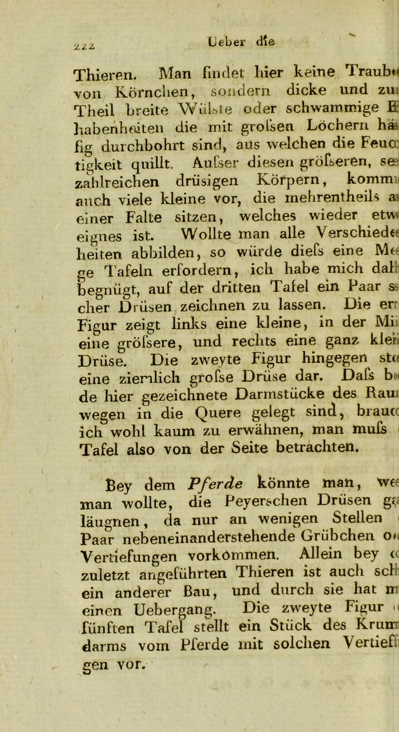 2/Z Thieren. Man findet liier keine Traube von Körnchen, sondern dicke und zui Theil breite Wühle oder schwammige E liabenh eiten die mit grofsen Löchern häi fig durchbohrt sind, aus welchen die Feuer tigkeit quillt. Aufser diesen gröberen, see zahlreichen drüsigen Körpern, kommn auch viele kleine vor, die mehrentheils ai einer Falte sitzen, welches wieder etvw eignes ist. Wollte man alle Verschiede beiten abbilden, so würde diefs eine Me ge Tafeln erfordern, ich habe mich dal!: begnügt, auf der dritten Talei ein Paar eher Drüsen zeichnen zu lassen. Die err Figur zeigt links eine kleine, in der Mi eine gröfsere, und rechts eine ganz kieh Drüse. Die zweyte Figur hingegen stn eine ziemlich grobe Drüse dar. Dafs b>< de hier gezeichnete Darmstücke des Raui wegen in die Quere gelegt sind, braut ich wohl kaum zu erwähnen, man mub Tafel also von der Seite betrachten. Bey dem Pferde könnte man, tvt man wollte, die Peyerschen Drüsen gg läugnen, da nur an wenigen Stellen Paar nebeneinanderstehende Grübchen ou Vertiefungen Vorkommen. Allein bey cc zuletzt angeführten Thieren ist auch sei ein anderer Bau, und durch sie hat irr einen Uebergang. Die zweyte Figur >i fünften Tafel stellt ein Stück des Krum darms vom Pferde mit solchen Vertieft] gen. vor.