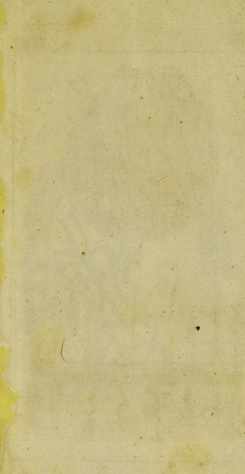 * y / <*• i / * / ■-