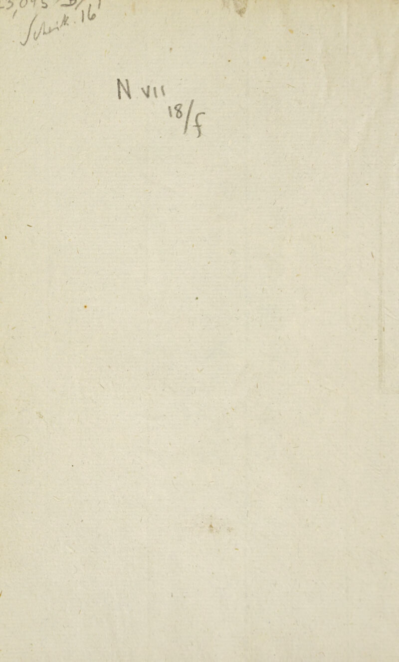 T ; ¥ % -, \ I / A » ,‘ /