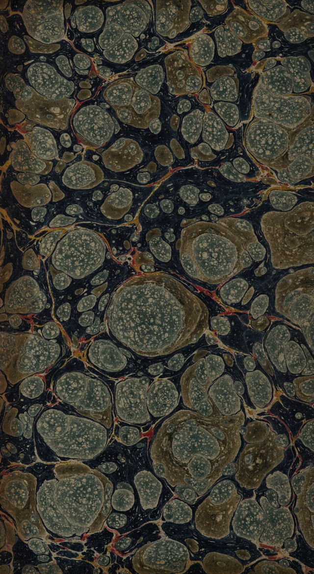 digitised image 2