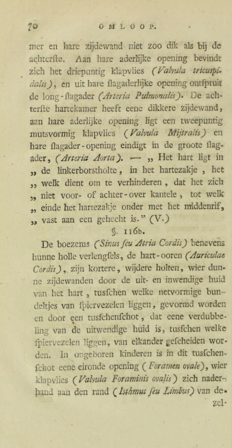 mer en hare zijdewand niet zoo dik als bij de achterfte. Aan hare aderlijke opening bevindt zich het driepuntig klapvlies (Makula tricuspi» dalis), cn uit hare flagaderlijke opening ontlpruit de long - flagader (Arttria Pulmonalis). De ach- terfte hartekamer heeft eene dikkere zijdewand, aan hare aderlijke opening ligt een tweepuntig mutsvormig klapvlies (Vahula Mijtralis) en hare flagader - opening eindigt in de groote flag- ader, (Arttria Aorta'). -— „ Het hart ligt in „ de linkerborstholtc, in het hartezakje , het „ welk dient om te verhinderen , dat het zich „ niet voor- of achter - over kantele , tot welk „ einde het hartezakje onder met het middenrif, „ vast aan een gehecht is.:’ (V.) §. 116b. De boezems (Sinus feu Atria Cordis) benevens hunne holle verlengfels, de hart-ooren (Auriculae Cordis), zijn kortere, wijdere holten, wier dun- ne zijdewanden door de uit- en inwendige huid van het hart , tusfehen welke netvormige bun- deltjes van fpiervezelen liggen, gevormd worden en door een tusfehenfehot, dat eene verdubbe- % ling van de uitwendige huid is, tusfehen welke fpiervezelen liggen, van elkander gefcheiden wor- den. In ongeboren kinderen is in dit tusfehen- fehot eene eironde opening ( Por amen ovale), wier klapvlies (Vahula Foraminis ovalis) zich nader- hand aan den rand (Isthmus Jeu Limbus) van de. Zcl*