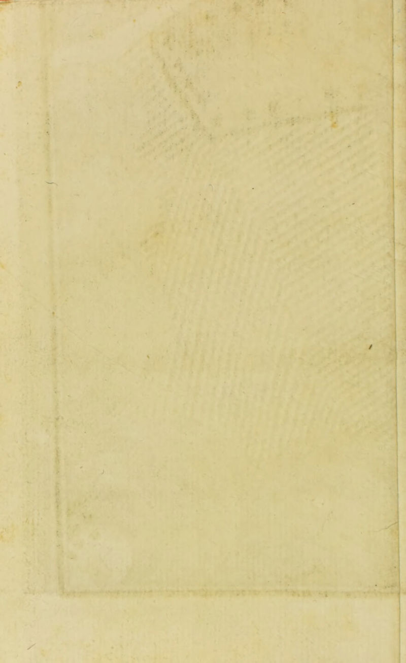 4 *■ . • i i «i * t *\ % »* t I 4 r', n •: '.>■ ■ PVJ ' i - %'*- A, ./v^ » . • t • • 'i ? í*. ,*»t r ^ / rf.4 r’ V • '/ f k .í . I -V, », ' ¿ ^,. ♦ •»