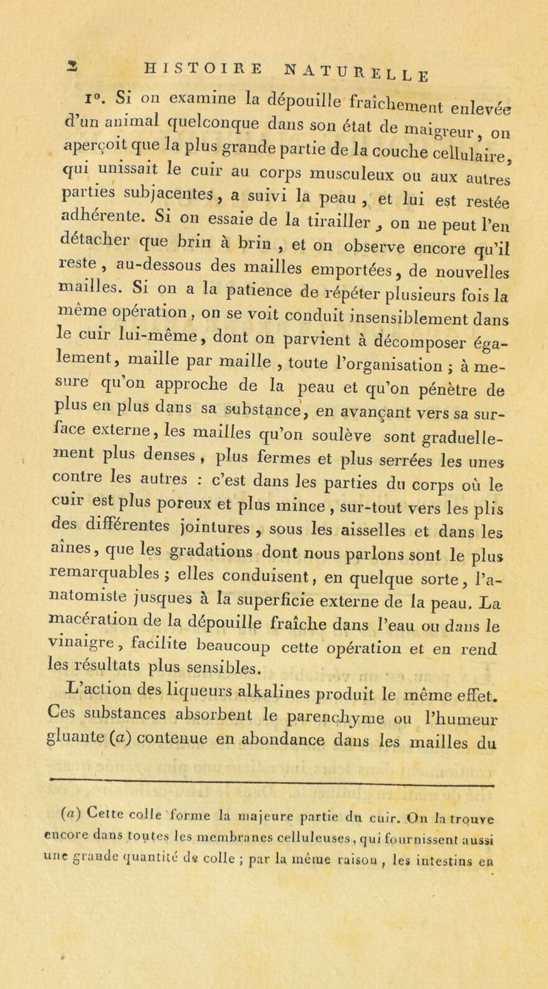 l«. Si on examine la dépouille fraîchement enlevée d’un animal c[uelconque dans son état de maigreur on aperçoit que la plus grande partie de la couche cellulaire, qui unissait le cuir au corps musculeux ou aux autres parties subjacentes, a suivi la peau et lui est restée adhérente. Si on essaie de la tirailler , on ne peut l’eu détacher que brin à brin , et on observe encore qu’il leste, au-dessous des mailles emportées, de nouv’-elles mailles. Si on a la patience de répéter plusieurs fois la même opération , on se voit conduit insensiblement dans le cuir lui-même, dont on parvient à décomposer éga- lement, maille par maille , toute l’organisation ; à me- sure qu’on approche de la peau et qu’on pénètre de plus en plus dans sa substance, en avançant vers sa sur- face externe, les mailles qu’on soulève sont graduelle- ment plus denses , plus fermes et plus serrées les unes contre les autres : c’est dans les parties du corps où le cuir est plus poreux et plus mince , sur-tout vers les plis des différentes jointures , sous les aisselles et dans les aînés, que les gradations dont nous parlons sont le plus remarquables j elles conduisent, en quelque sorte, l’a- natomiste jusques à la superficie externe de la peau. La macération de la dépouille fraîche dans l’eau ou dans le vinaigre, facilite beaucoup cette opération et en rend les résultats plus sensibles. L action des liqueurs alkalines produit le même effet. Ces substances absorbent le parenchyme ou l’humeur gluante (a) contenue en abondance dans les mailles du (a) Cette colle forme la majeure partie du cuir. On la trouve encore dans toutes les membranes celluleuses, qui fournissent aussi une grande quantité d« colle ; par la meme raisou , les intestins en