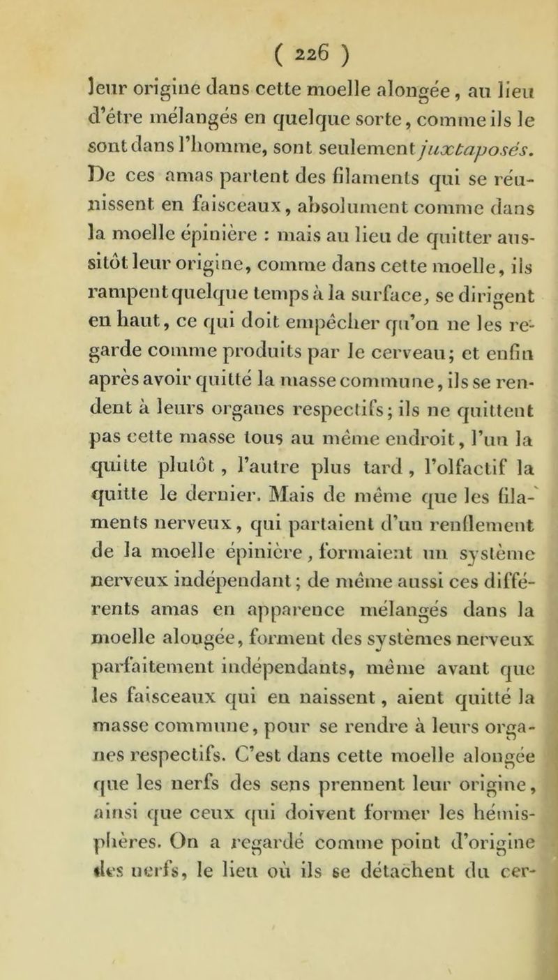 leur origine clans cette moelle alongée, an lieu d’être mélangés en Cjnelque sorte, comme ils le sont dans riiomme, sont seulement juxtaposés. De ces amas parlent des filaments qui se réu- nissent en faisceaux, absolument comme dans la moelle épinière : mais au lieu de quitter aus- sitôt leur origine, comme dans cette moelle, ils rampentquelque temps à la surface, se dirigent en haut, ce qui doit empêcher qu’on ne les re- garde comme produits par le cerveau; et enfin après avoir quitté la masse commune, ils se ren- dent à leurs organes respectifs; ils ne quittent pas cette masse tous au même endroit, l’im la quitte plutôt, l’autre plus tard , l’olfactif la quitte le dernier. Mais de même que les fila- ments nerveux, qui partaient d’un rendement de la moelle épinière, formaient un système nerveux Indépendant ; de même aussi ces diffé- rents amas en apparence mélangés dans la moelle alongée, forment des systèmes nerveux parfaitement indépendants, même avant que les faisceaux qui en naissent, aient quitté la masse commune, pour se rendre à leurs orga- nes respectifs. C’est dans cette moelle alongée que les nerfs des sens prennent leur origine, ainsi que ceux qui doivent former les hémis- phères. On a regardé comme point d’origine •les nerfs, le lieu où ils se détachent du cer-