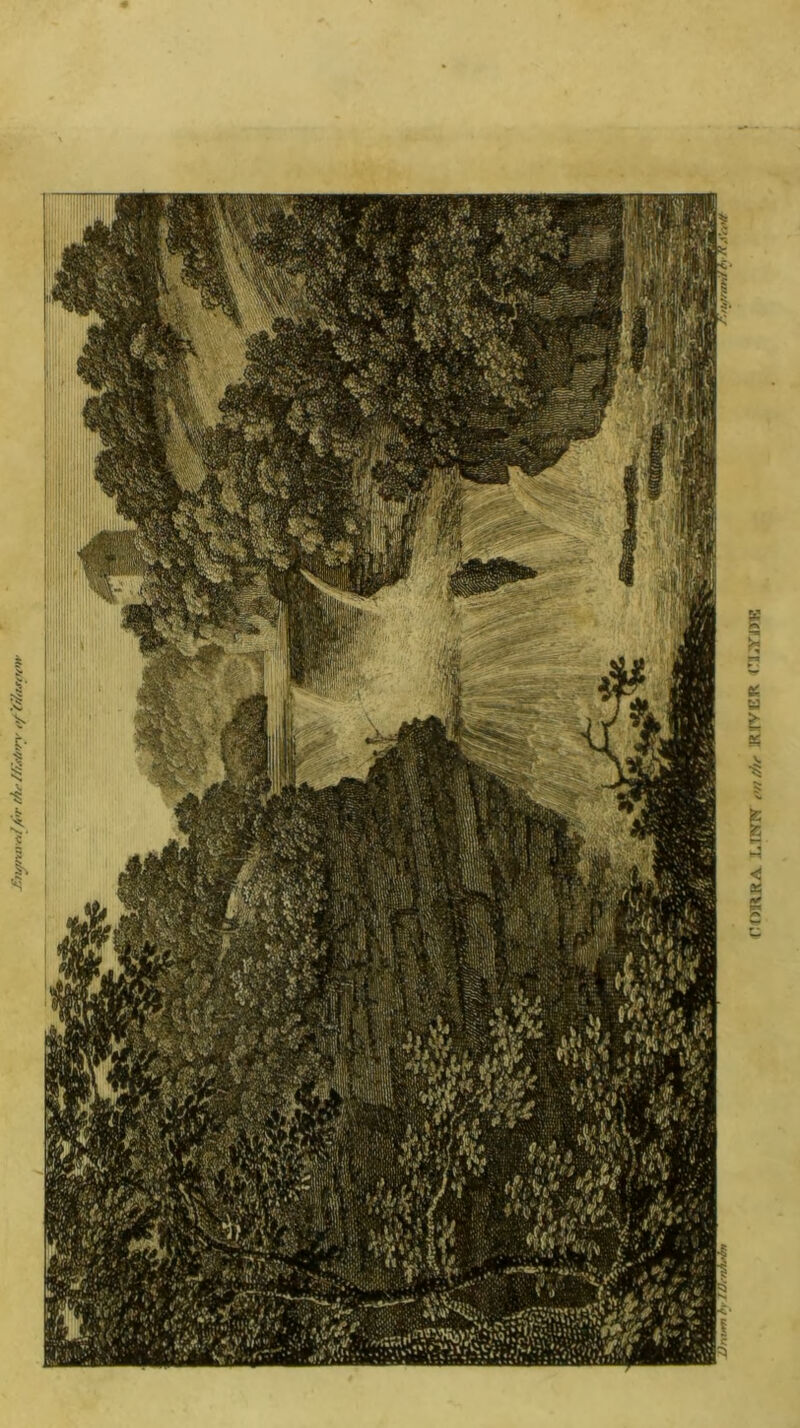 rtmRA J.trm .’n/fn- kjvgr rj;yjjrK